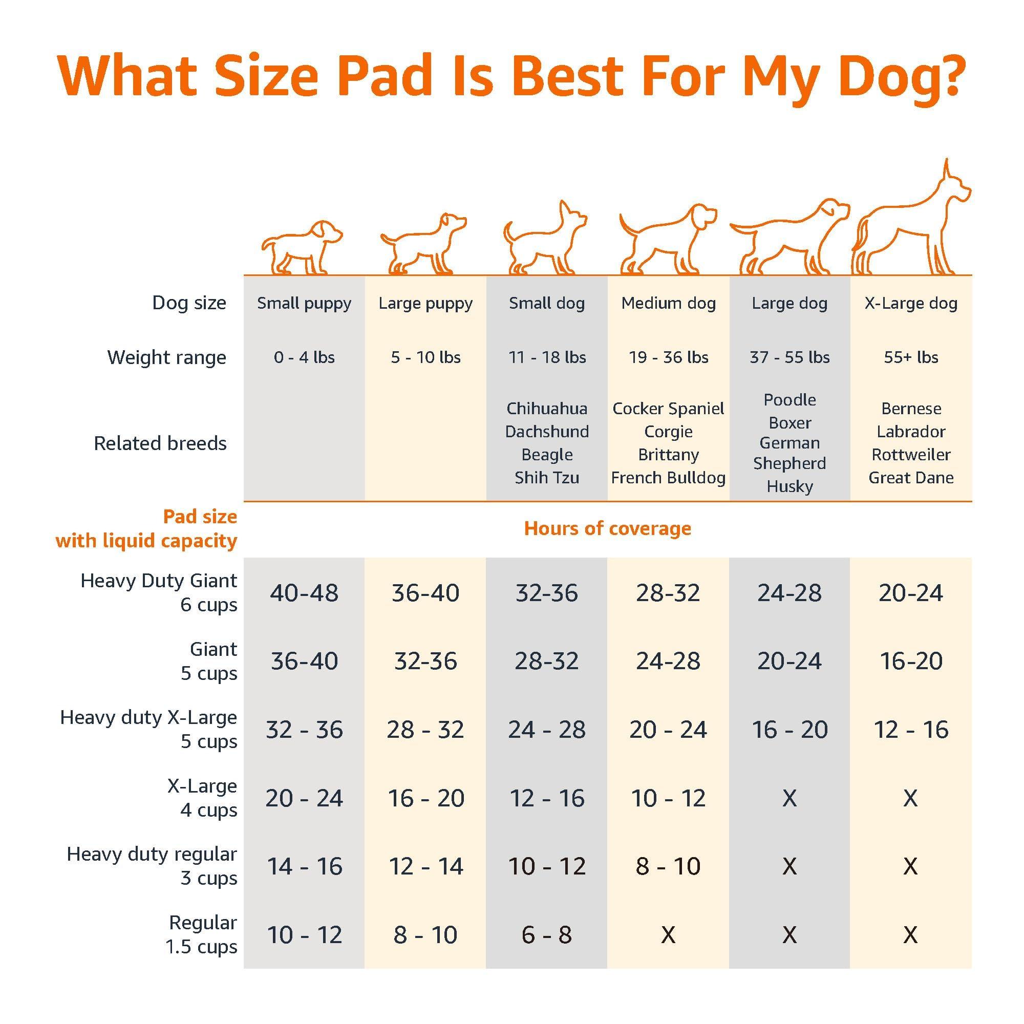 Amazon Basics X-Large Absorbent Puppy Pads, Leak-Proof, Quick-Dry, 28 x 34 Inches, Pack of 50, Blue & White - Image 3