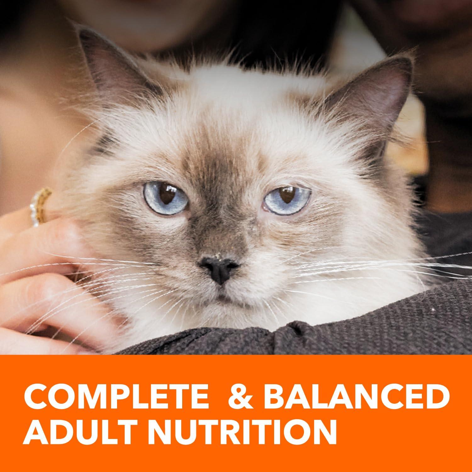 IAMS Proactive Health Healthy Adult Dry Cat Food with Chicken, 22 lb. Bag - Image 10