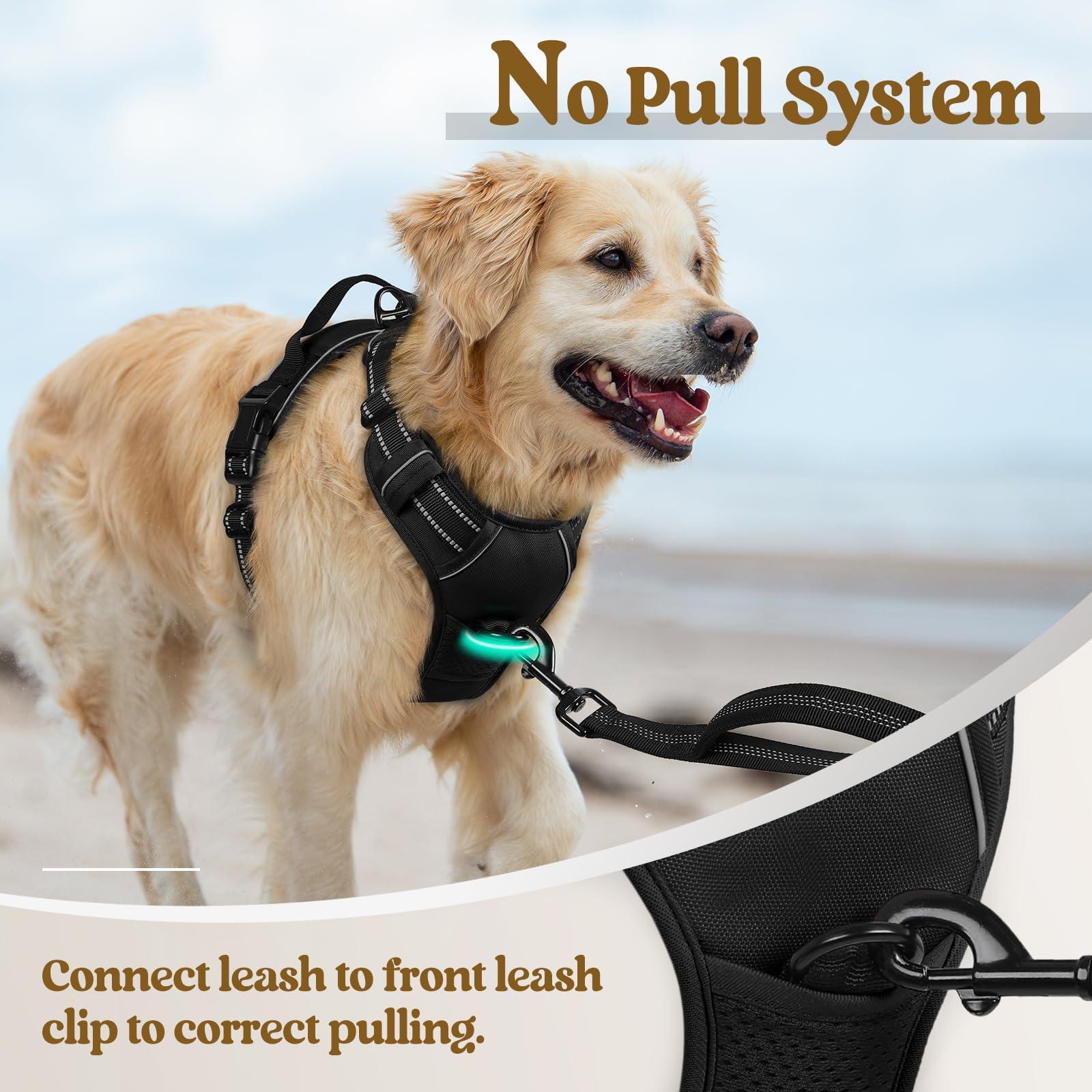 rabbitgoo Dog Harness No Pull with 2 Leash Clips, Adjustable Soft Padded, Reflective Oxford No Choke Pet Vest with Easy Control Handle for Large Dogs, Black, L - Image 5