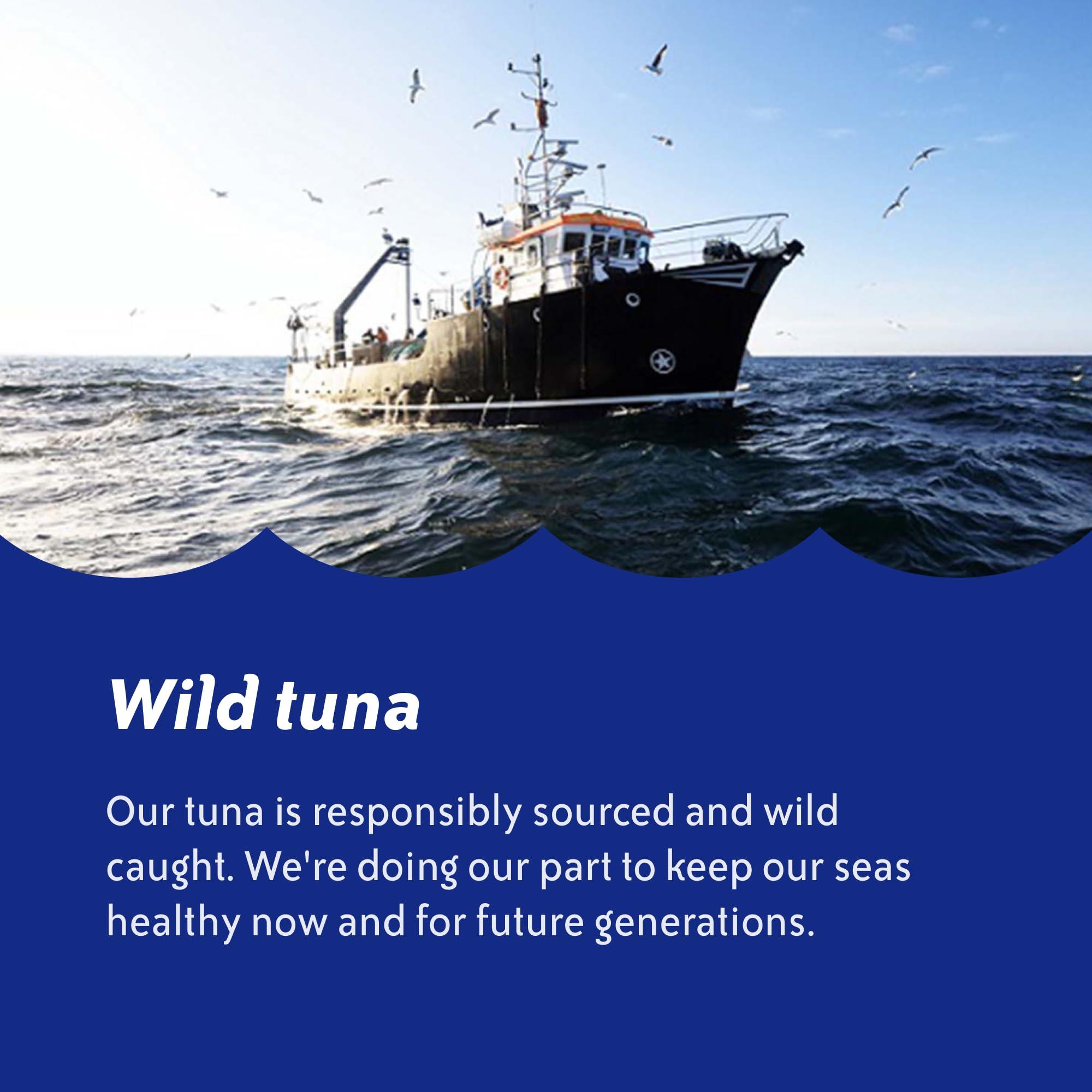 Chicken of the Sea Chunk Light Tuna in Water, 5 Ounce Cans (Pack of 10), Wild Caught Canned Tuna - Image 8