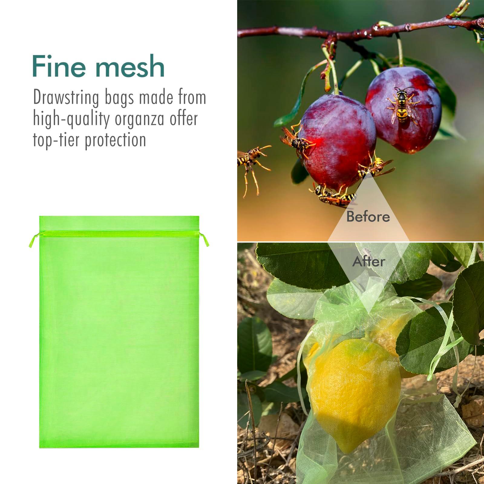 Fruit Protection Bags, Fetanten 50 PCS 6 x 8 Inch Mesh Drawstring Bag for Fruit Trees, Small Green Garden Fruit Plant Netting Cover Bag Protect Blueberry Tomato Apple Mango from Bird Insect Pest - Image 5