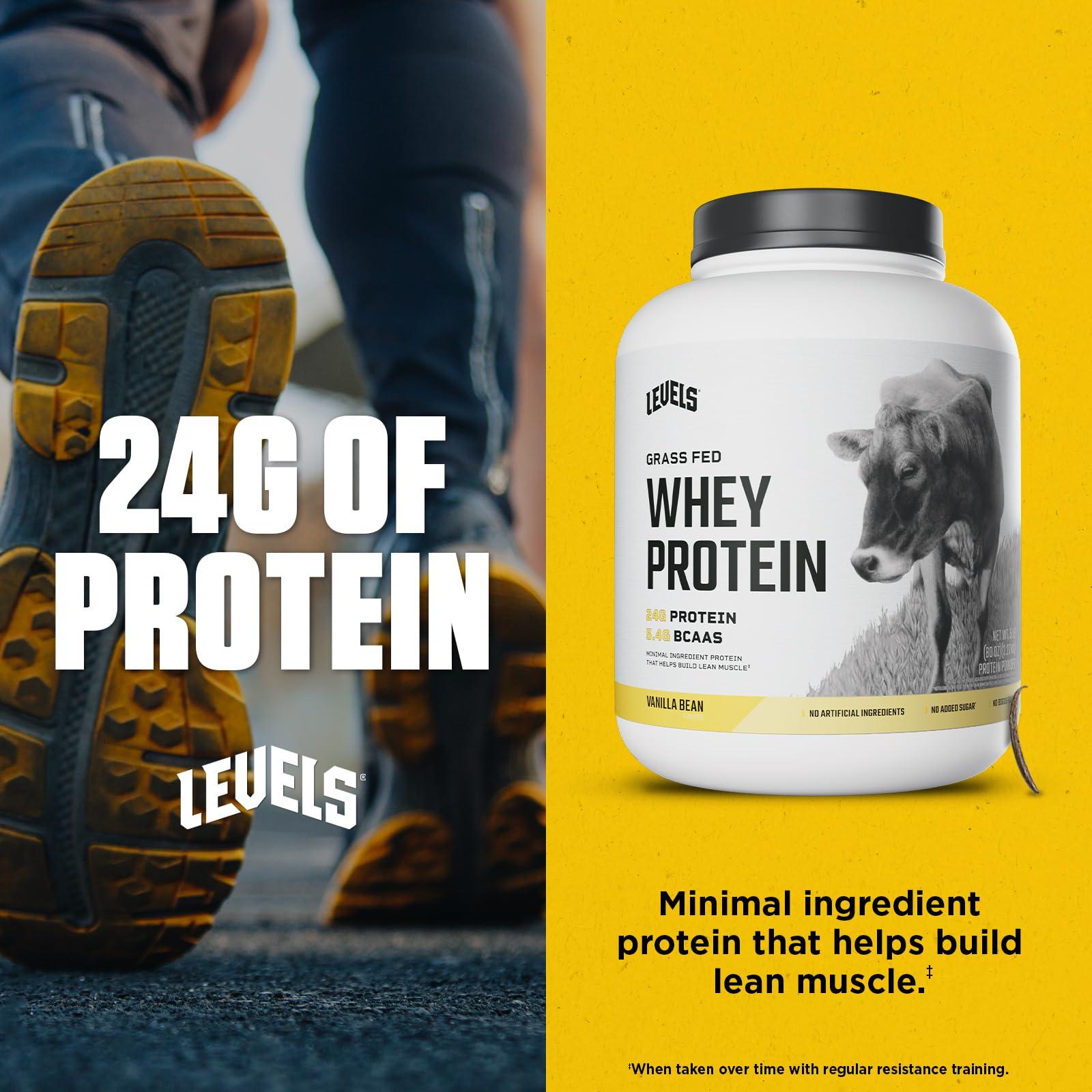 Levels Grass Fed Whey Protein Powder, No Artificials, 24G of Protein, Vanilla Bean, 5LB - Image 4