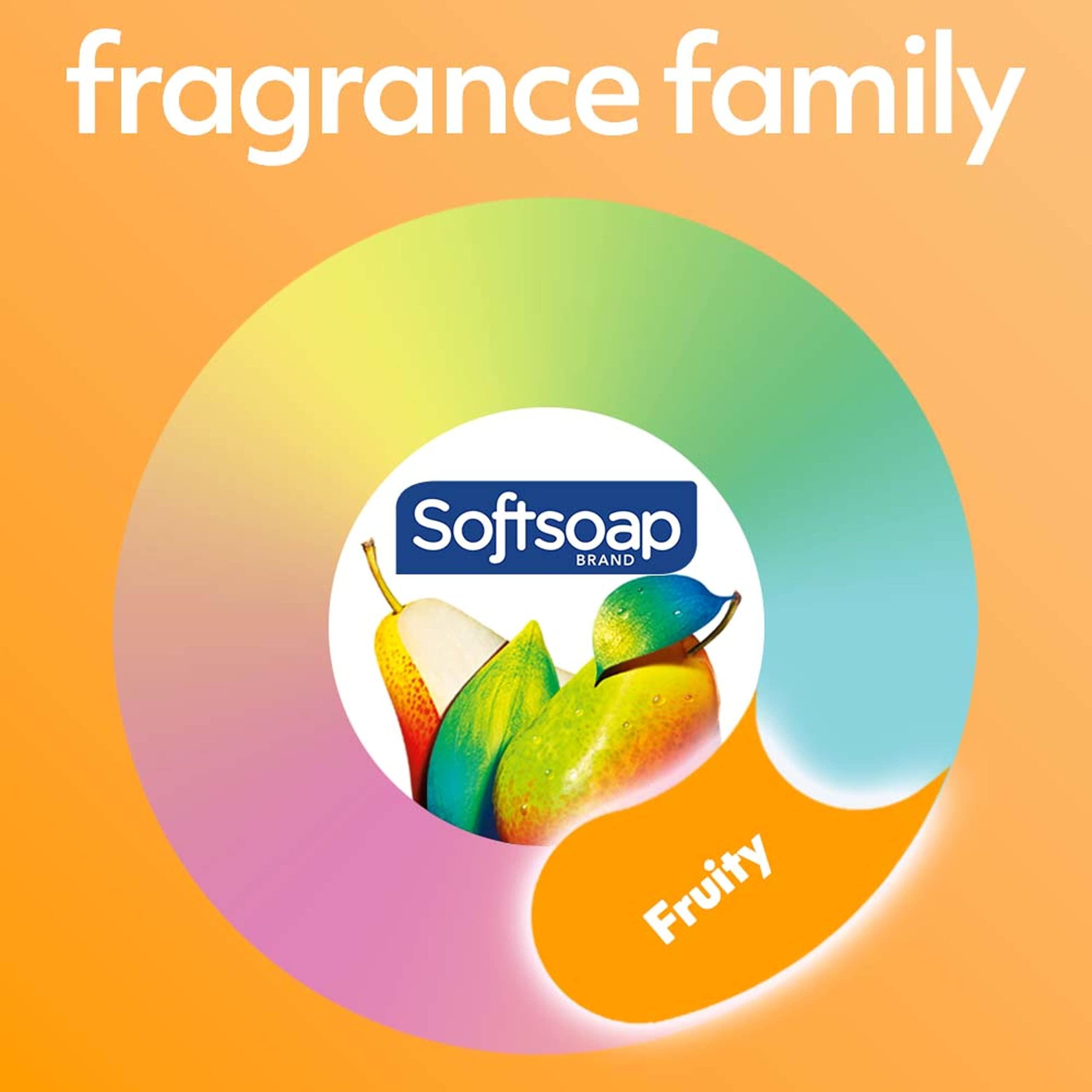 Softsoap Body Wash, Pomegranate & Mango Spritz Body Wash, 20 Fl Oz (Pack of 4) - Image 5