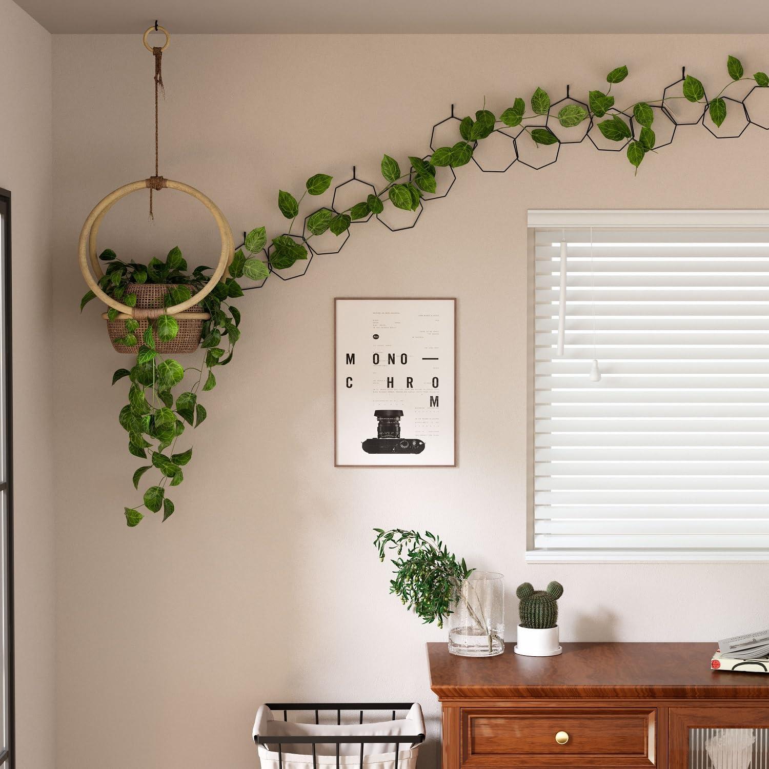 Chain Trellis for Climbing Plants - Versatile Indoor and Outdoor Accessories for Monstera, Pothos, Ivy, and Others | Support for Vines and Garden Wall Trellis (Black) - Image 3