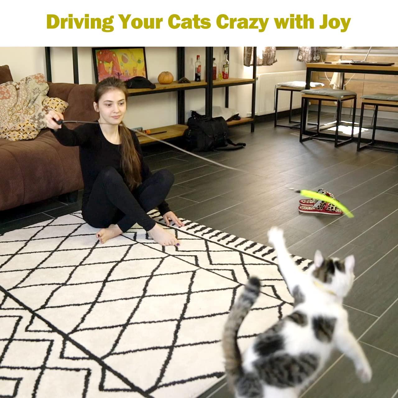 MeoHui Interactive Cat Toys - Retractable Wand Toy and Feather Toys Refills for Indoor Cats to Chase and Exercise - Image 7