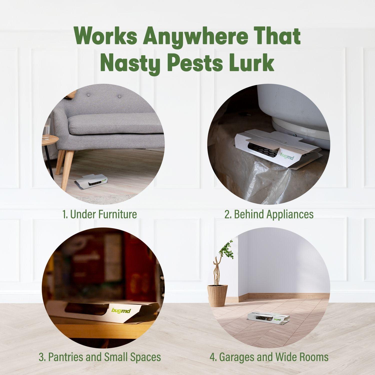 BugMD Indoor Cockroach Killer & Roach Trap - Sticky Insect, Spider, Cricket Control for Home - Glue Traps Pest Defense, 12 Pack Sticky Bug Solution - Image 5