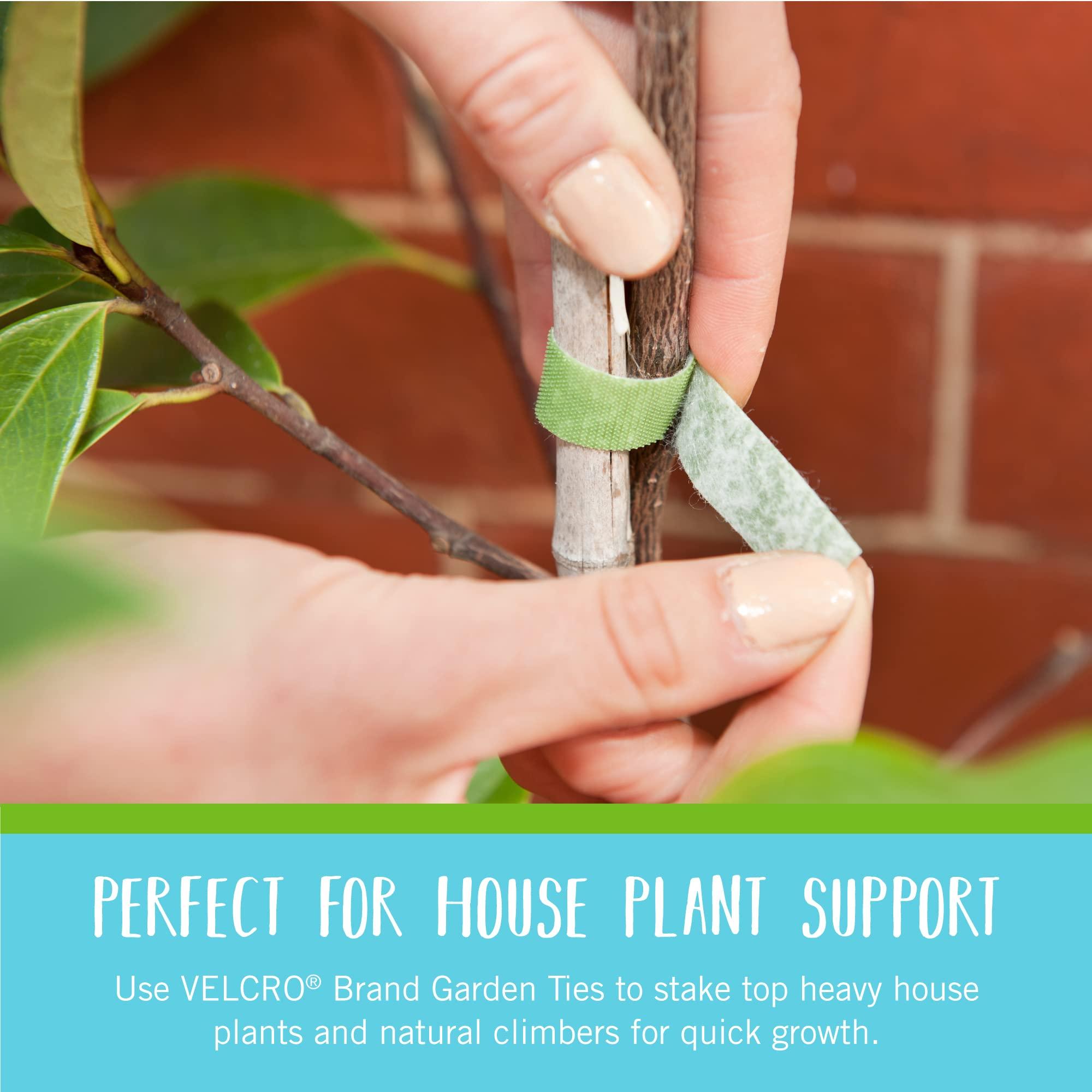 VELCRO Brand 90648 ONE-WRAP Garden Ties | Plant Supports for Effective Growing | Strong Grips are Reusable and Adjustable | Cut-to-Length, 75 ft x 1/2 in, Green-Recycled Plastic - Image 5
