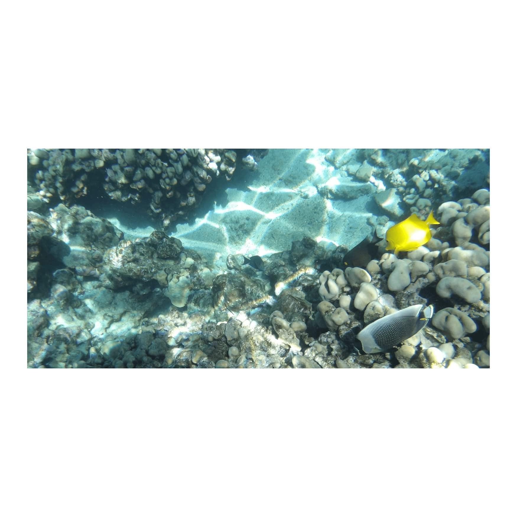 KODAK PIXPRO WPZ2 Rugged Waterproof Shockproof Dustproof WiFi Digital Camera 16MP 4X Optical Zoom 1080P Full HD Video Vlogging Camera 2.7" LCD (Yellow) - Image 2