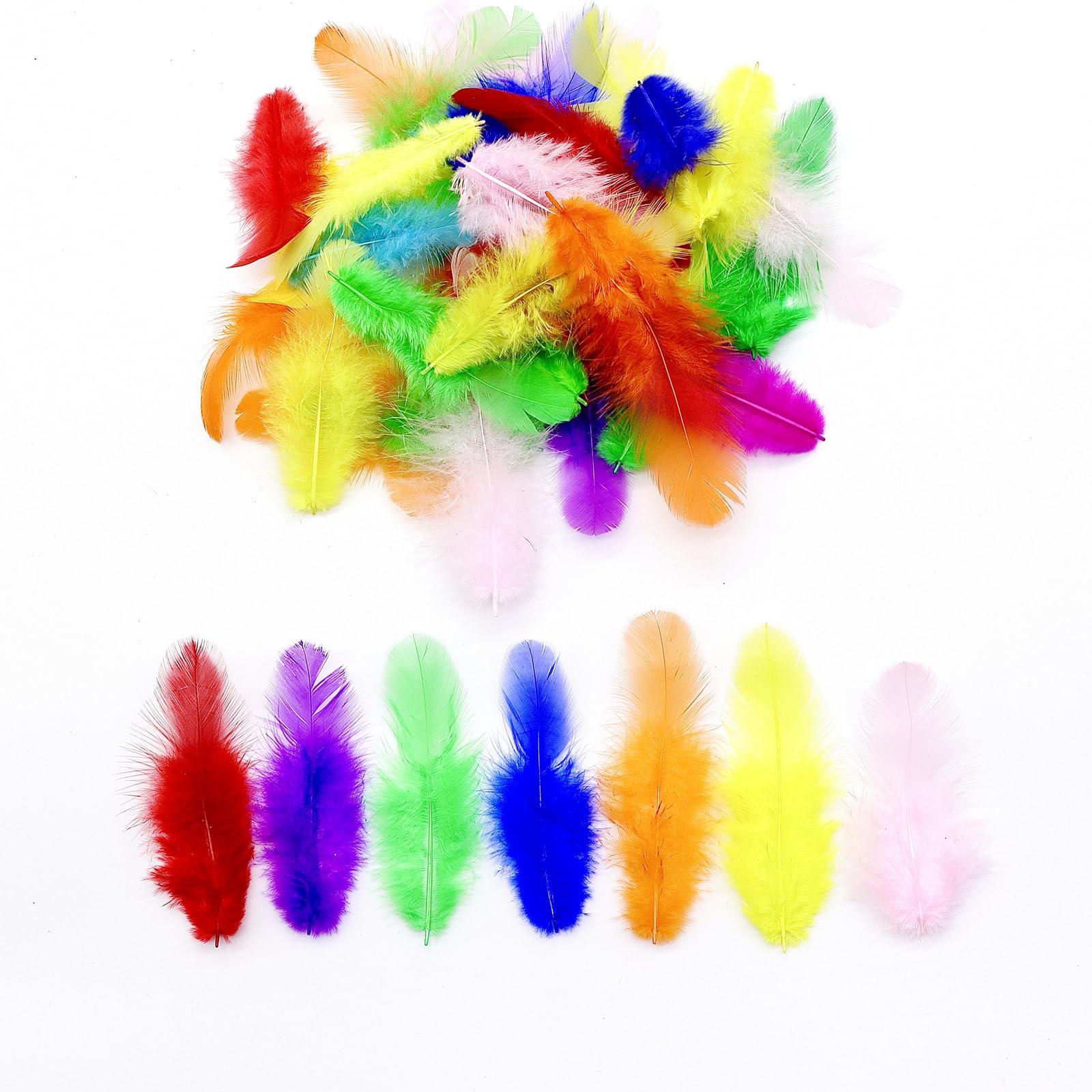 800Pcs Colorful Craft Rooster Feathers 3-5-inch Bulk Feathers for Crafting Kindergarten DIY Crafts, Wedding, Family Party Decorations, Dream Catcher Supplies, Natural Feathers - Image 5
