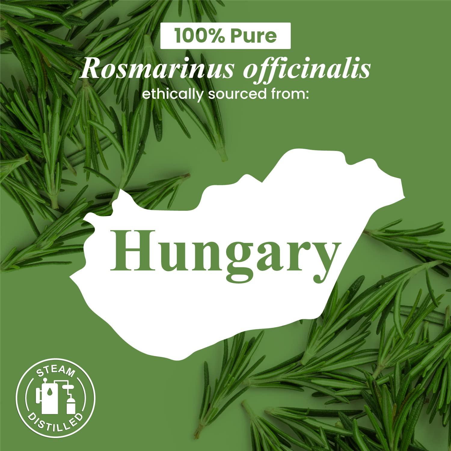 Handcraft Blends Rosemary Essential Oil - Huge 4 Fl Oz - 100% Pure and Natural - Premium Grade Essential Oil for Diffuser and Aromatherapy, and DIY Soap Making - Image 7