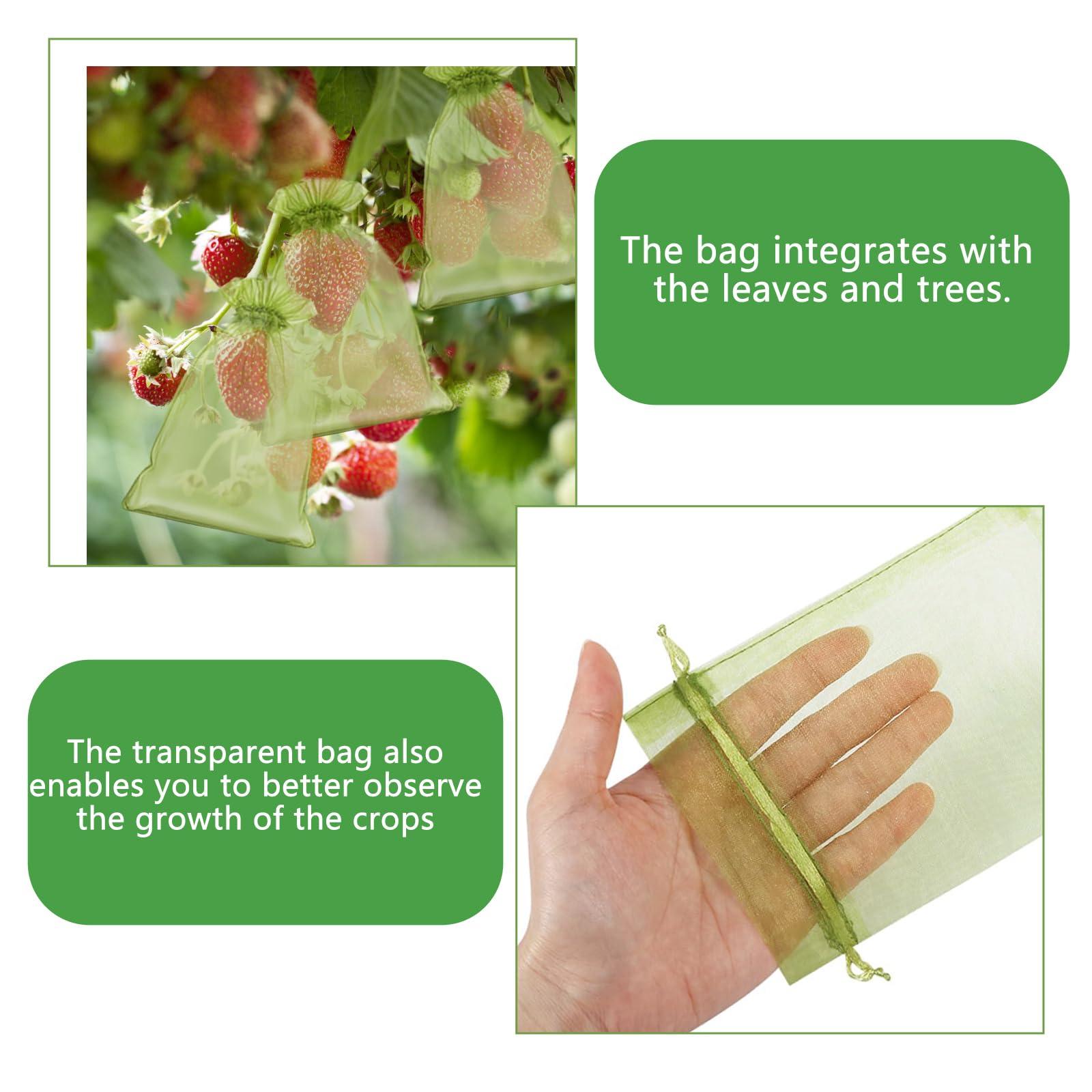 YIChongDan 100pcs Fruit Protection Cover Bags 4x6 inch Fruit Netting - Drawstring Mesh Protectors Bags Pest Barrier for Strawberry Blueberry Small Fruit Vegetables - Image 6