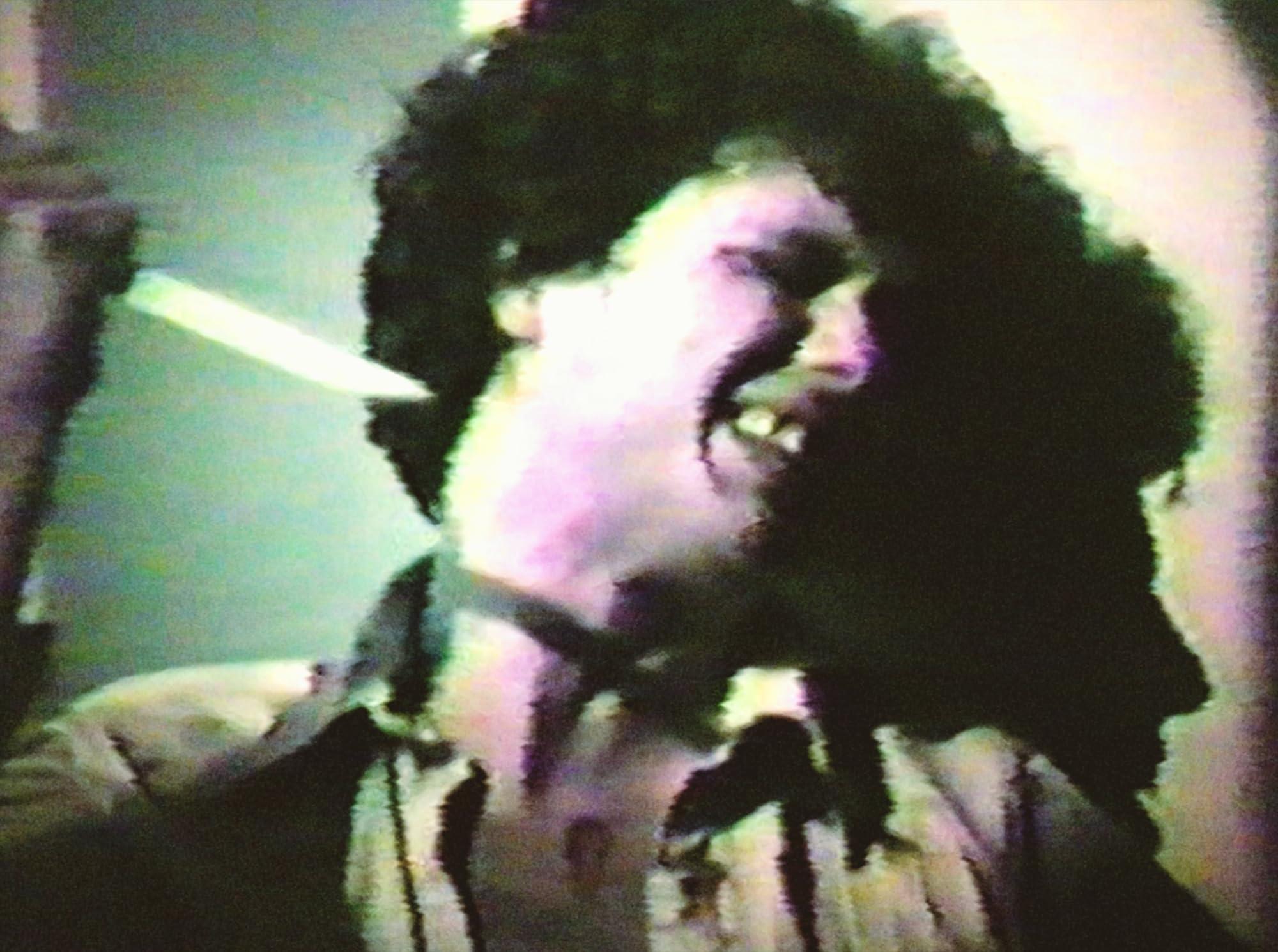 Cannibal Orgy and the Films of J.T. IV - Image 3