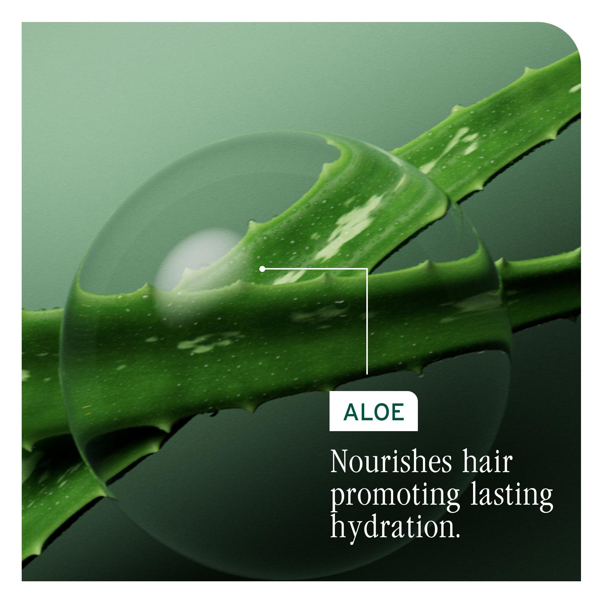Biolage Hydra Source Shampoo - Softens & Adds Shine, For Dry Hair, Infused with Micro-Filtered Aloe Vera & Fermented Hyaluronic Acid, Vegan & Paraben-Free, Packaging May Vary - Image 7