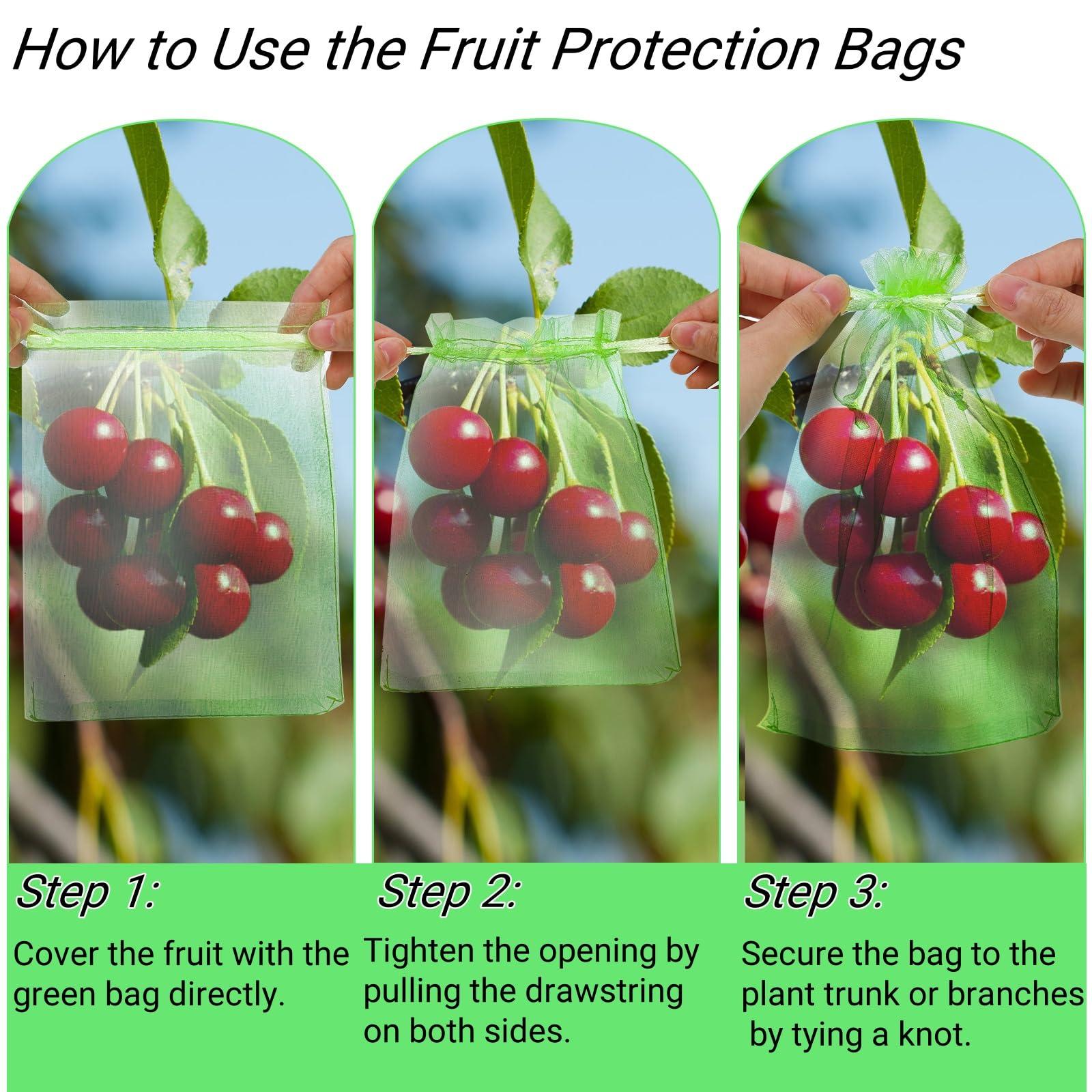 Tlence 150 PCS Fruit Protection Bags, 6 x 8 Inch Fruit Cover Mesh Bag, Garden Netting Bags with Drawstring, Reusable Barrier Bags for Plant Flower Mango, Protect Plants from Birds Squirrels, Green - Image 5