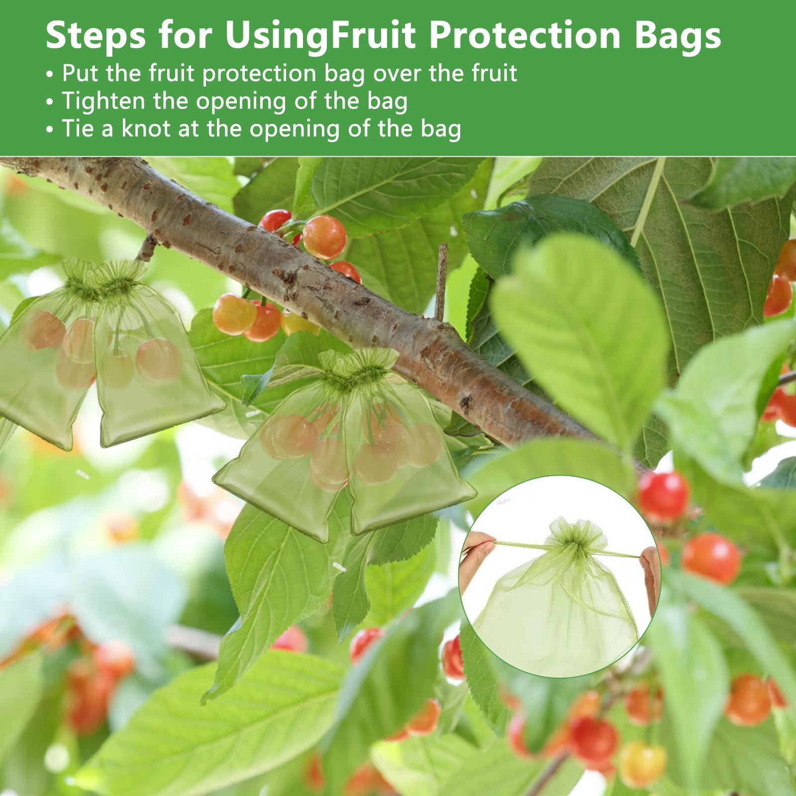 YIChongDan 100pcs Fruit Protection Cover Bags 4x6 inch Fruit Netting - Drawstring Mesh Protectors Bags Pest Barrier for Strawberry Blueberry Small Fruit Vegetables - Image 5