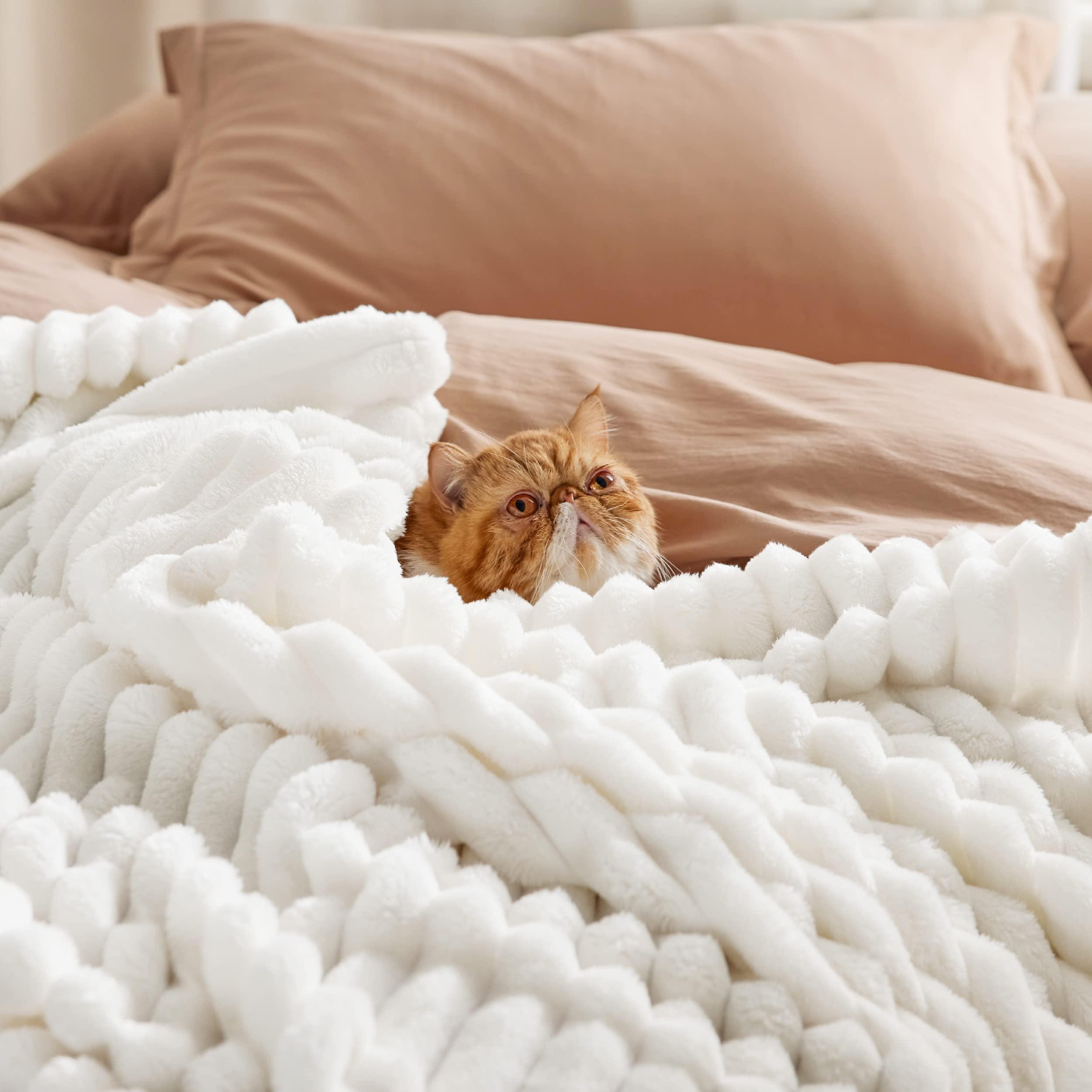 Bedsure White Throw Blanket for Couch - GentleSoft Cozy Blanket for Women, Cute Fleece Throws for Girls, Room Home Dorm Decor, Birthday Gifts for Women Men Mom Teacher Gifts, Off White, 50x60 Inches - Image 5