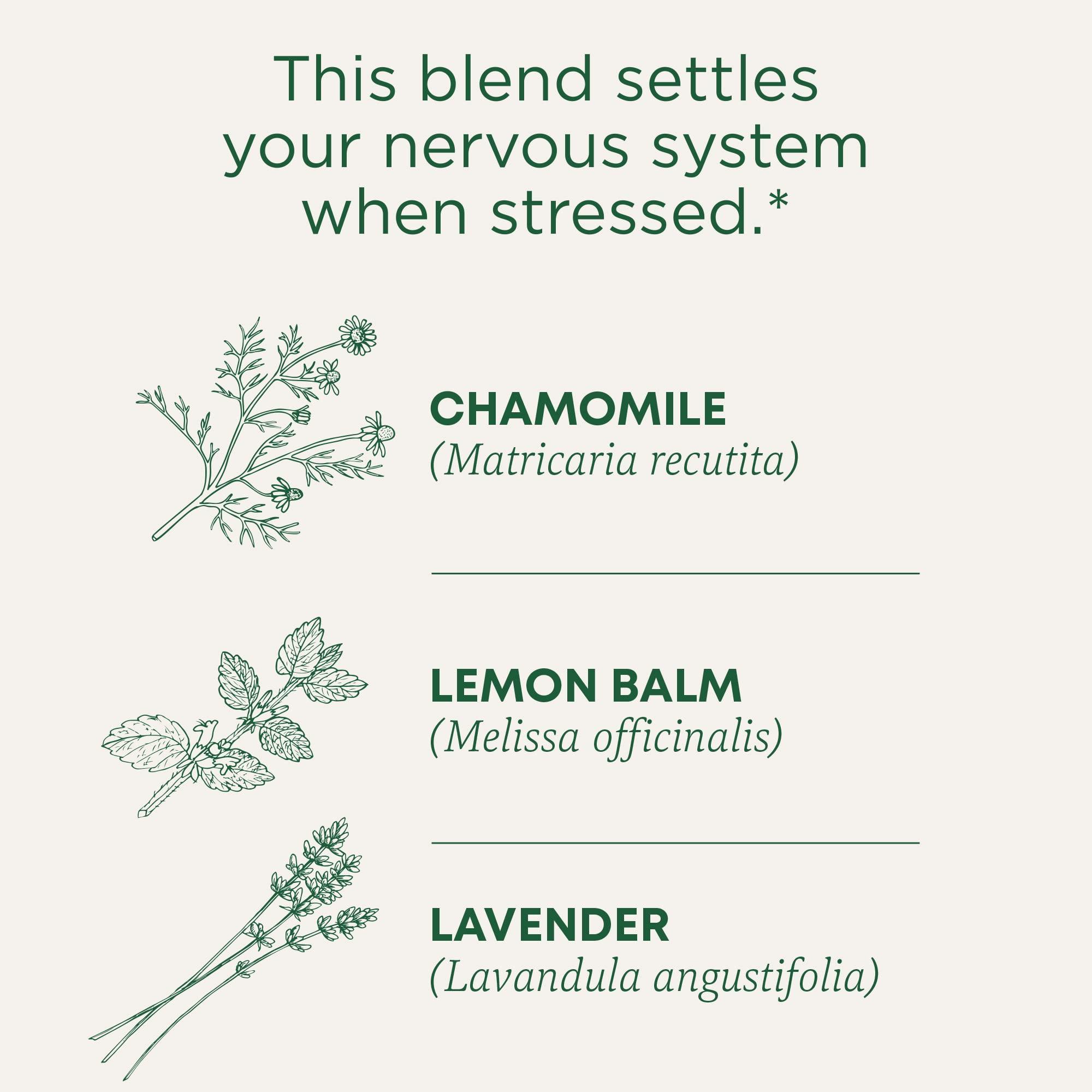 Traditional Medicinals Tea, Organic Chamomile & Lavender, Stress Relief, 16 Tea Bags - Image 4