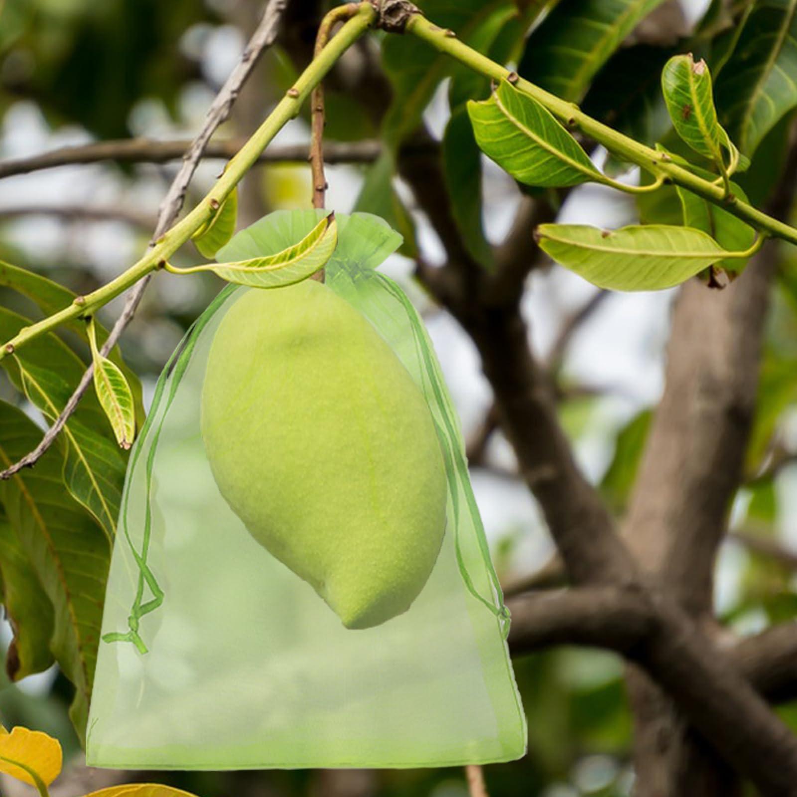 Uigidori 100 Pcs Fruit Protection Bags, 6.5 x 9 Inch Green Netting Cover Bags with Drawstring, Pest Barrier for Trees, Garden Fruit Cover Mesh Bag for Plant Vegetables and Flowers - Image 6