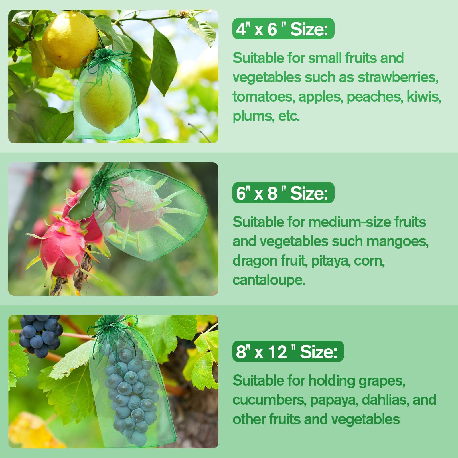 180 Pcs Fruit Protection Bags for Fruit Trees, Green Fruit Netting Cover Bags 3 Size Garden Netting Bags with Drawstring Mesh Barrier Bags for Plant Flower Vegetable Fruit Organza Bags Netting - Image 4