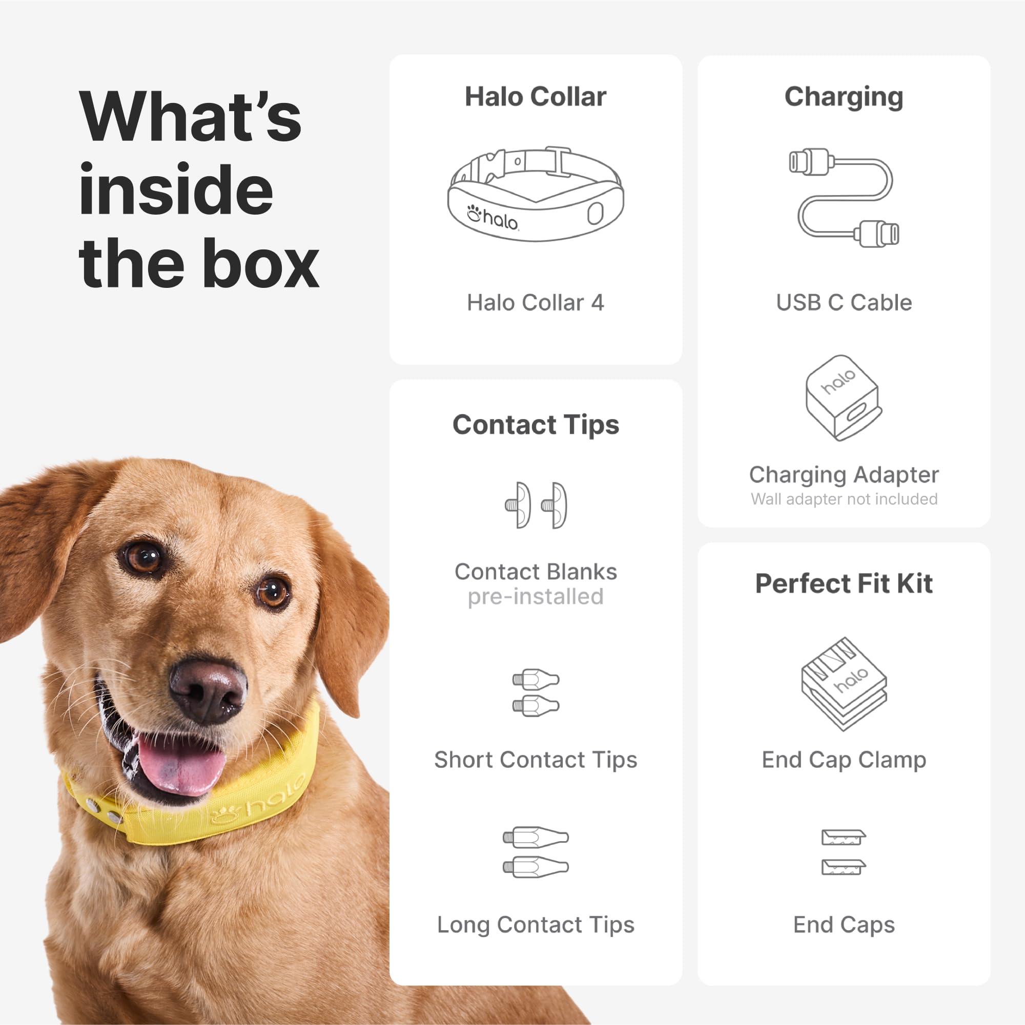 Halo Collar 4, All New GPS Wireless Dog Fence & Dog Training Collar with GPS Tracker, Subscription Required, Waterproof, One Size, Graphite - Image 6