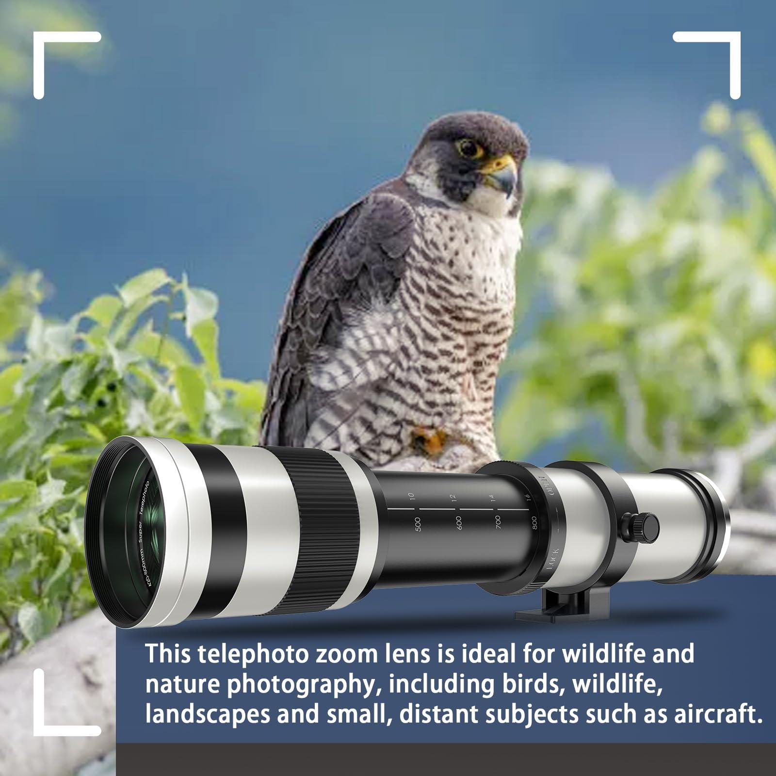 Lightdow RF 420-800mm F8.3 Telephoto Zoom Lens - MF for Canon EOS R6 Mark II/R5 Mark II/R5/R3/R7/R8/R10/RP/R6/R50/R1/R5 C/R50 V/R100/R/Ra - Manual Focus Mirrorless Cameras Lens(RF Mount,White) - Image 5
