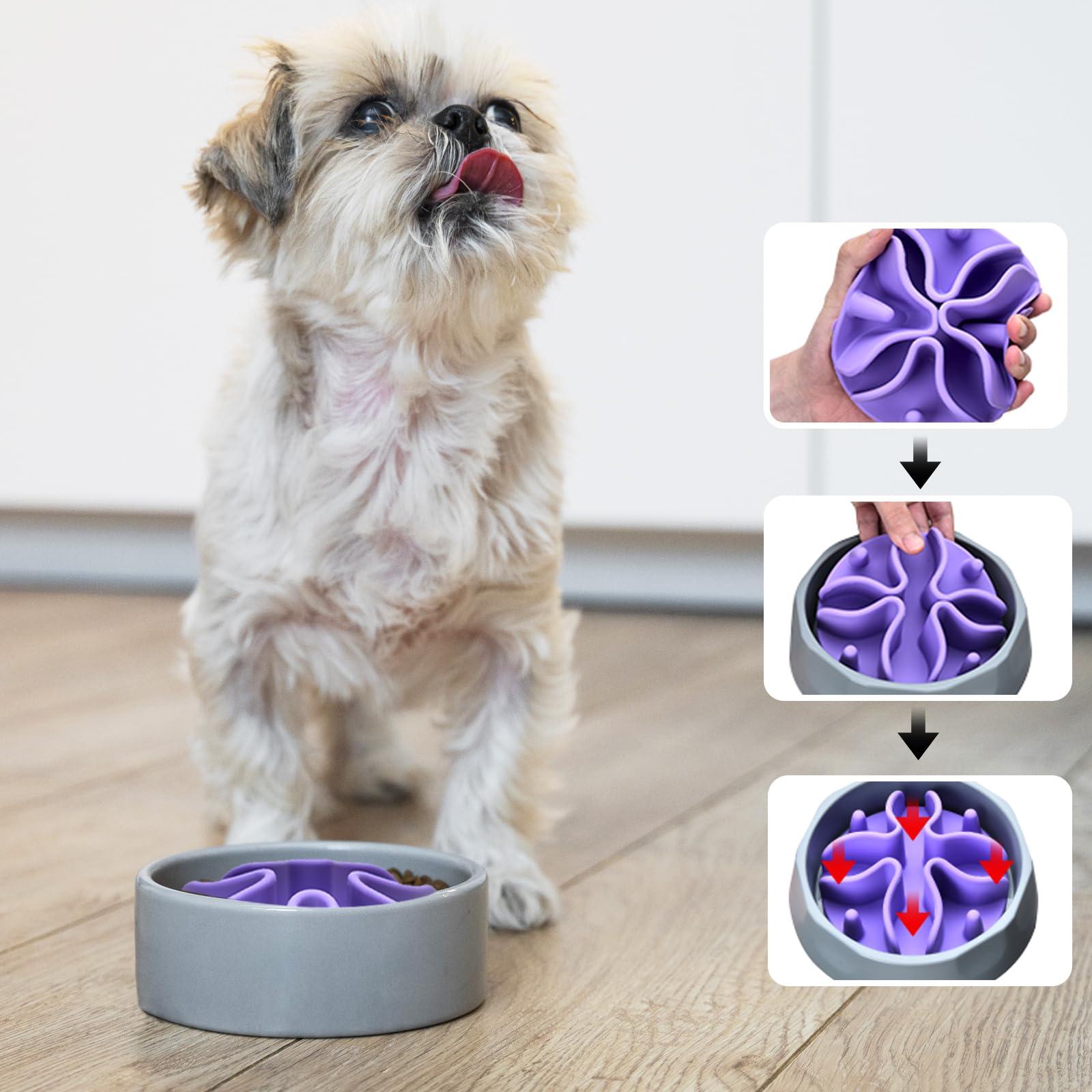 Slow Feeder Dog Bowls Insert, Silicone Slow Feeder Bowl with Strong Suction Cups Perfect for Stainless Steel Glass Ceramic Dog Bowls (Purple, Small Size) - Image 2