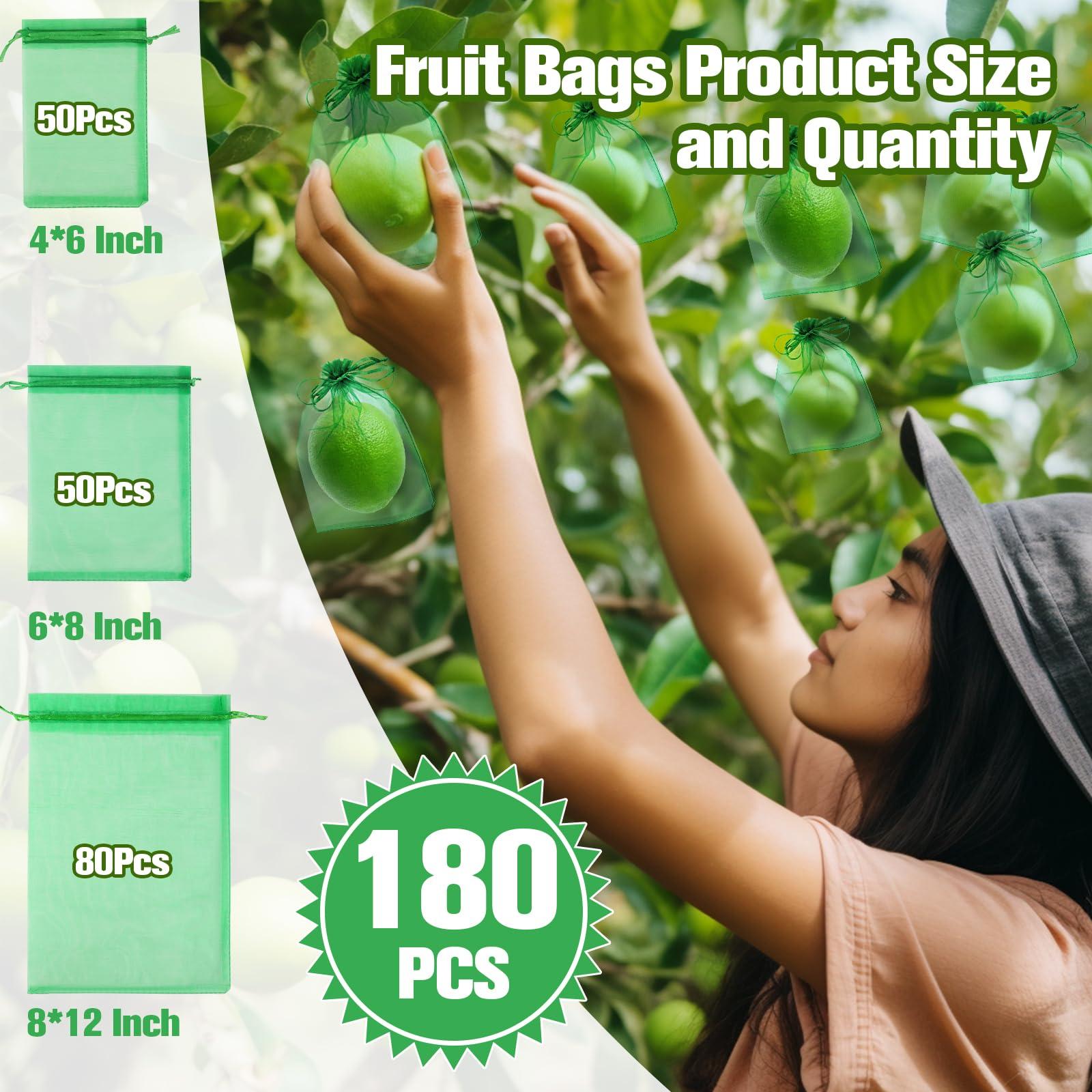 180 Pcs Fruit Protection Bags for Fruit Trees, Green Fruit Netting Cover Bags 3 Size Garden Netting Bags with Drawstring Mesh Barrier Bags for Plant Flower Vegetable Fruit Organza Bags Netting - Image 2
