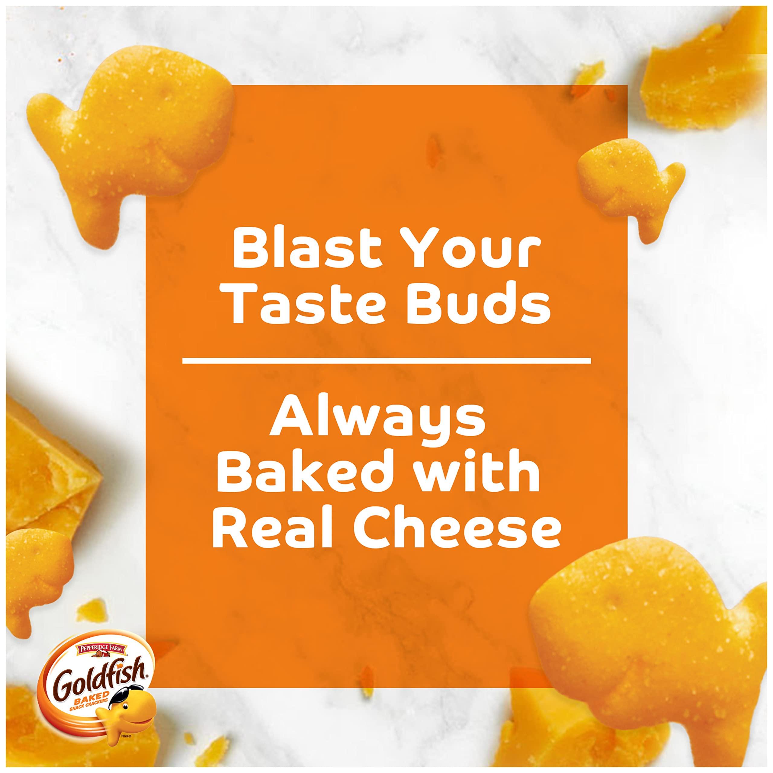 Goldfish Flavor Blasted Xtra Cheddar Cheese Crackers, 27.3 oz Carton - Image 4