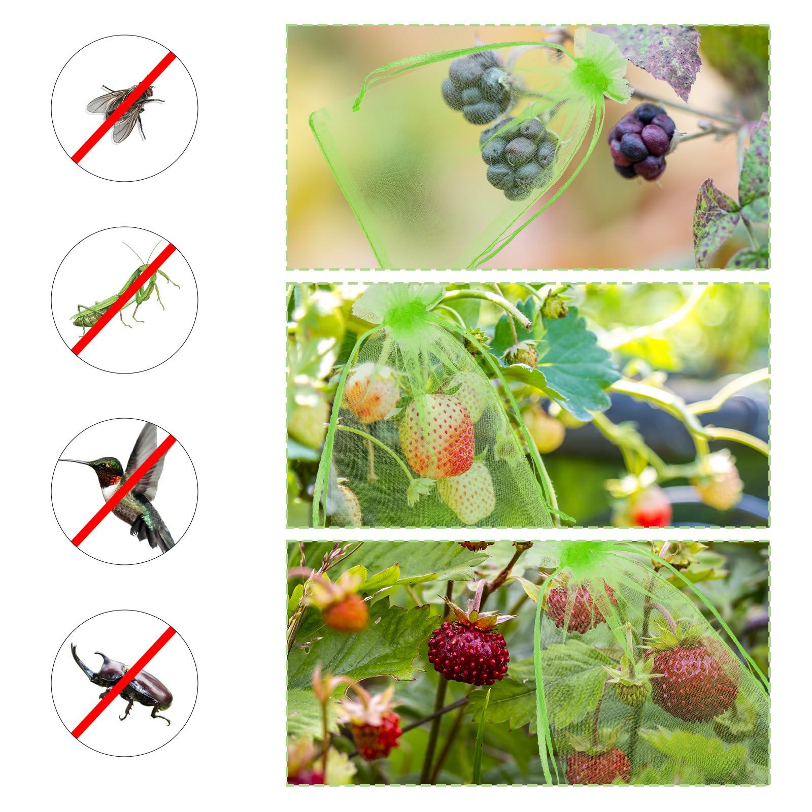100 Pcs Fruit Protection Bags 4x6 Inch Green Strawberry Netting Cover Drawstring Mesh Bags Fruits Protectors Pest Barrier for Tomato Mango Blueberry Fruits Trees Veggies Garden Small Fruit - Image 4