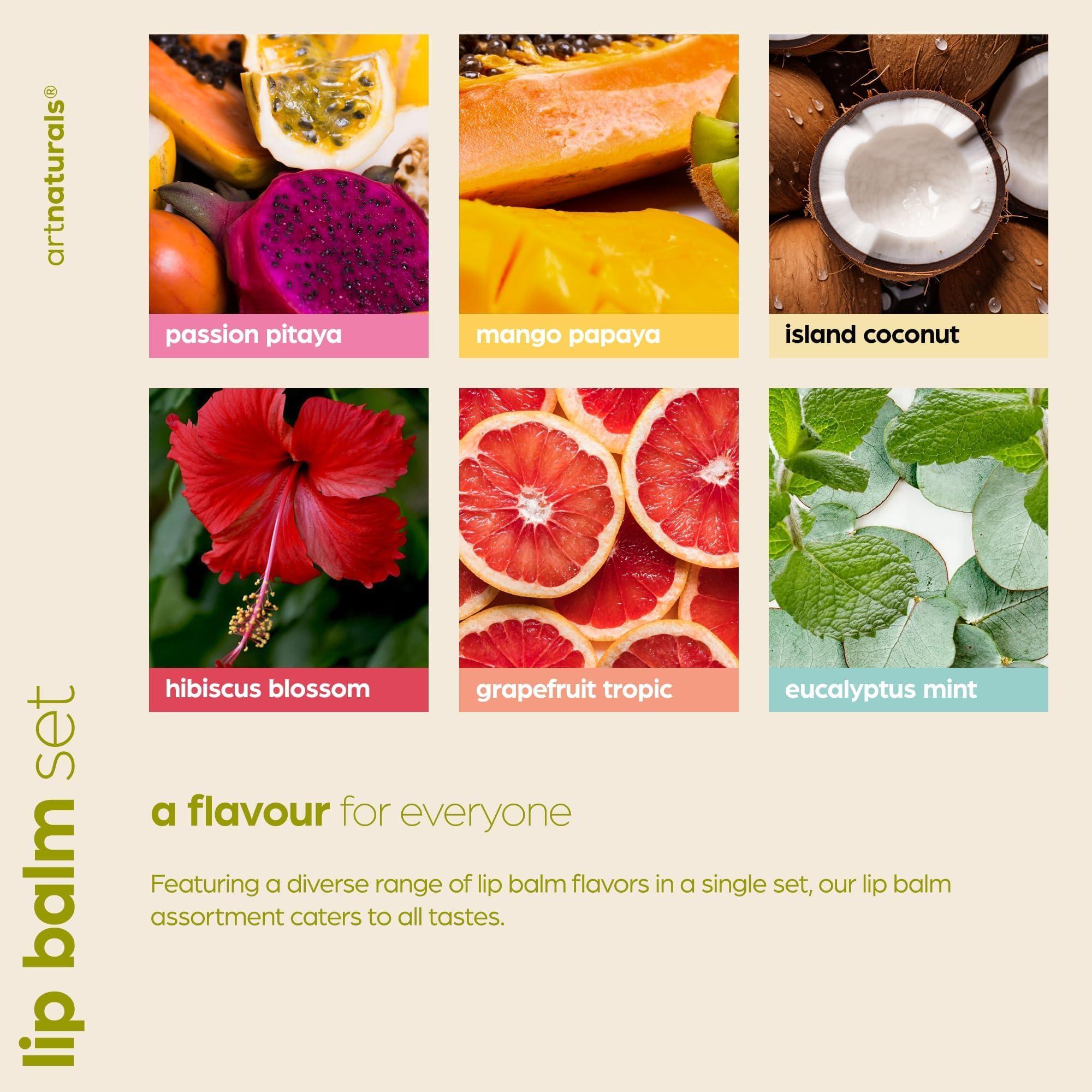 ArtNaturals Organic Beeswax Lip Balm Gift Set - Assorted Flavors with Aloe, Coconut & Jojoba Oils - Image 6