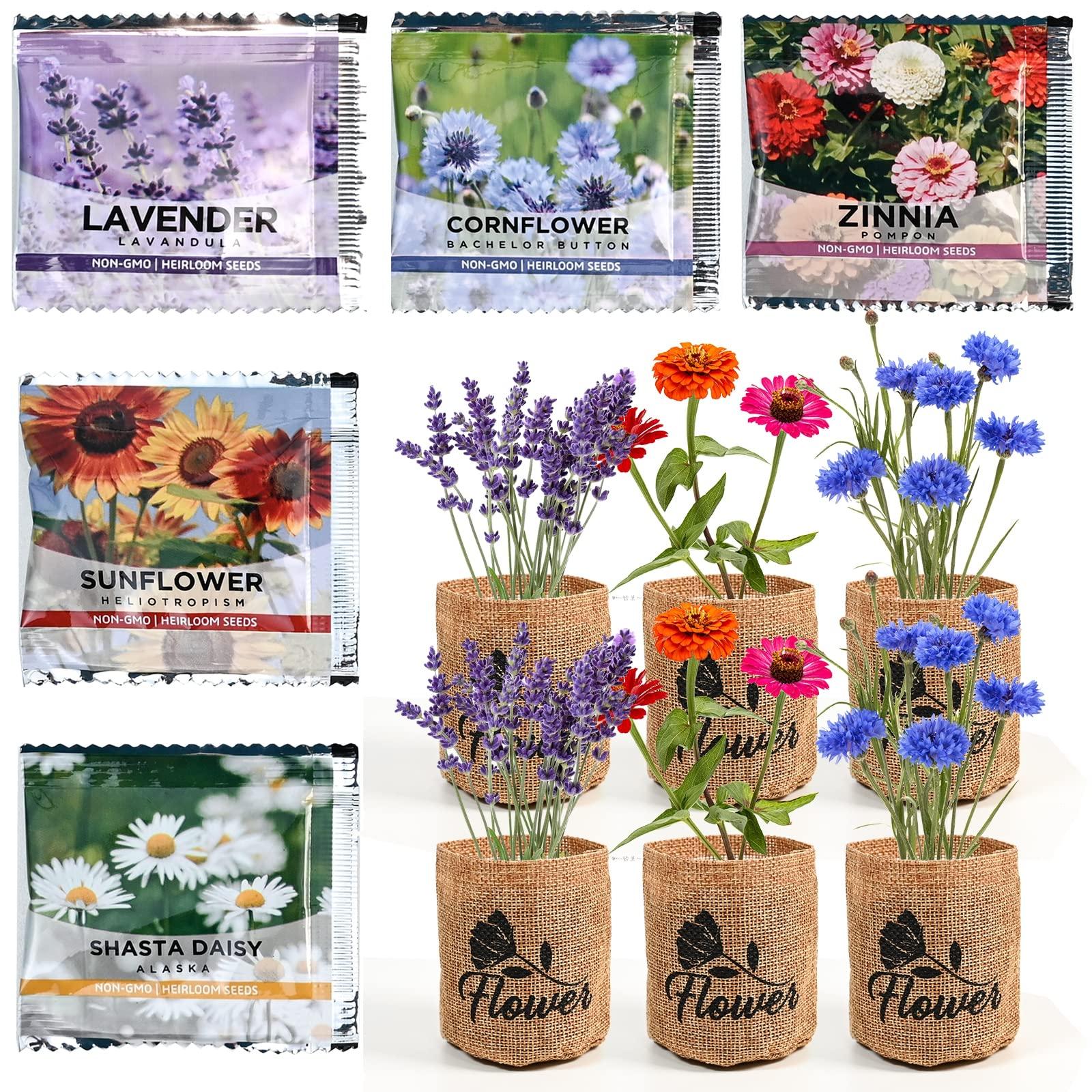 Indoor Daisy Garden Starter Kit with Gardening Tools - Jute Bags, Markers, Soil Disks and Shears, Home Gardening Gifts for Women Men Plant Lovers - Image 8