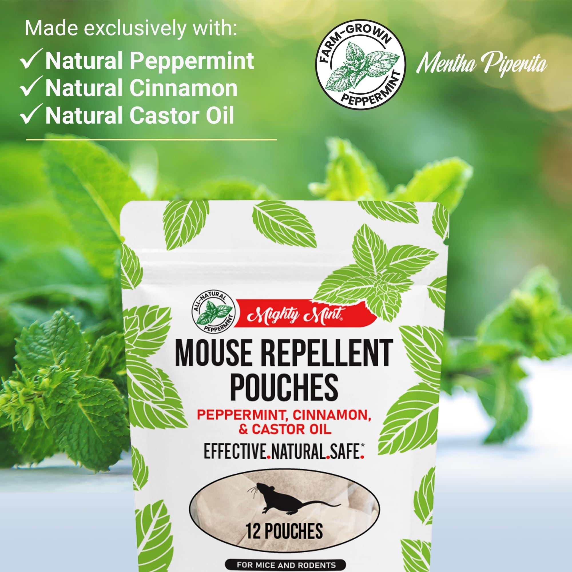 Mighty Mint Mouse Repellent Pouches & Rodent Repellent Spray Bundle - Image 4