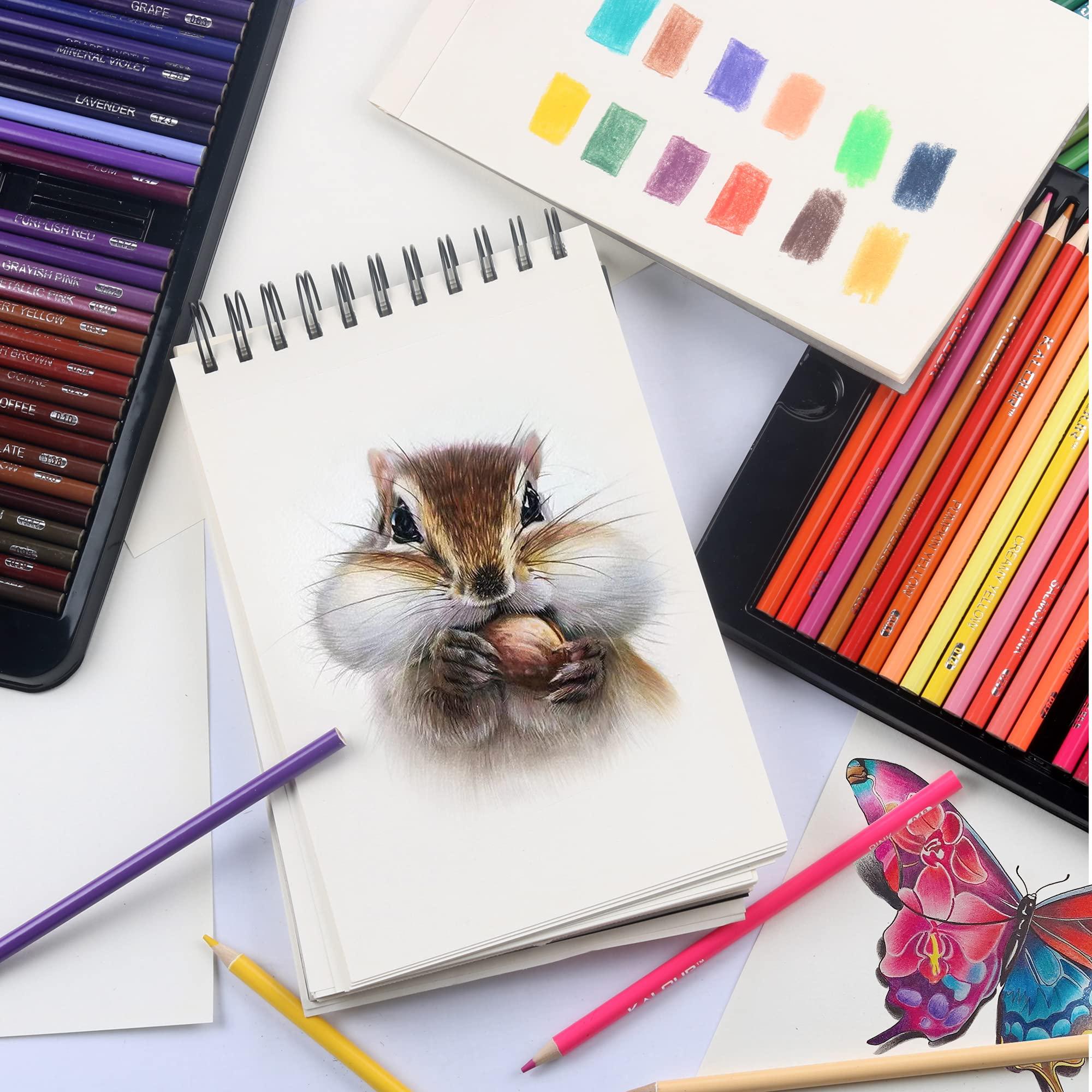 KALOUR 180 Colored Pencil Set for Adults Artists - Rich Pigment Soft Core -12 Metallic Pencil - Ideal for Coloring Drawing Sketching Shading Blending - Vibrant Color（Tin Case） - Image 5