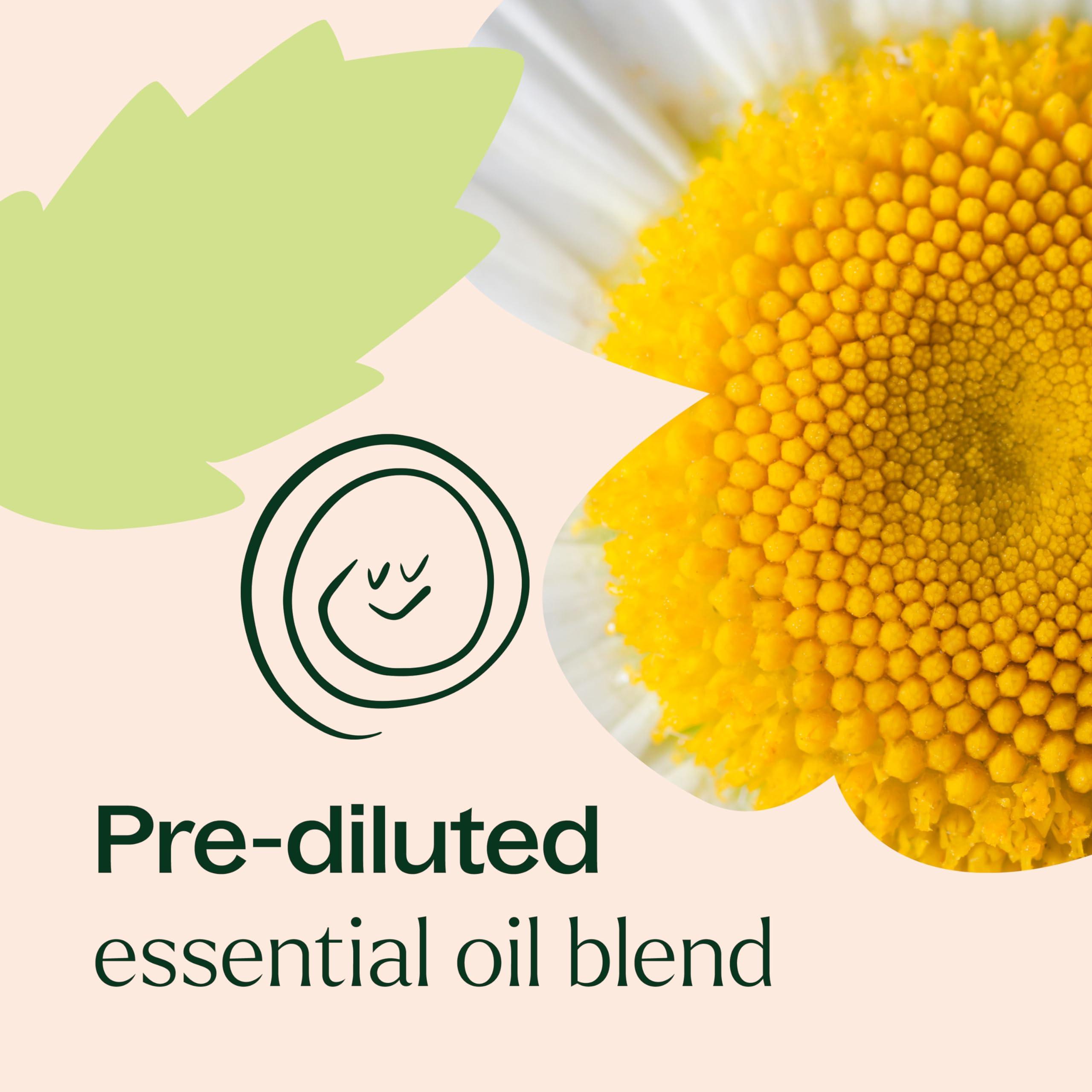 Plant Therapy KidSafe Tummy All Better Essential Oil Blend Pre-Diluted Roll-On 10 mL (1/3 oz) 100% Pure, Therapeutic Grade - Image 6