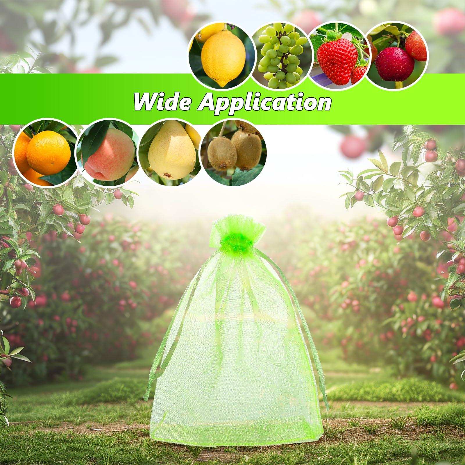 GWHOLE 50pcs 6x8 Inch Fruit Protection Bags, Fruit Cover Mesh Bags with Drawstring Fruit Tree Netting for Grape Melon Veggies Garden - Image 6