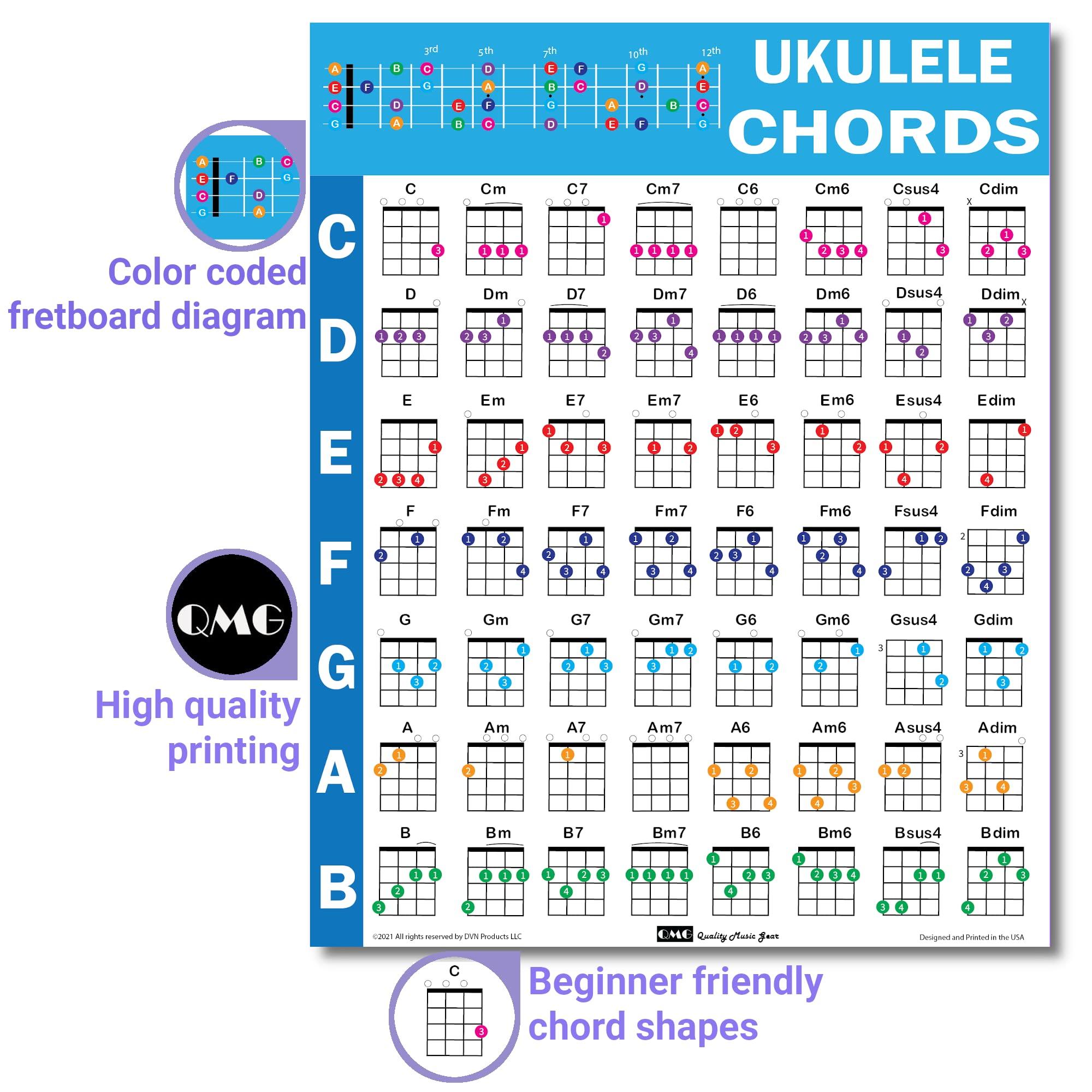 QMG Ukulele Chords Cheatsheet – Laminated A4 Music Theory Chart with Circle of Fifths for Beginners - Image 3