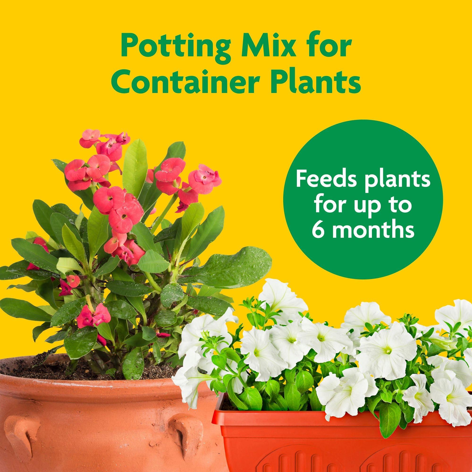 Miracle-Gro Potting Mix, For Container Plants, Flowers, Vegetables, Shrubs, Annuals, Perennials, Feeds up to 6 Months, 8 qt., 2-Pack - Image 3