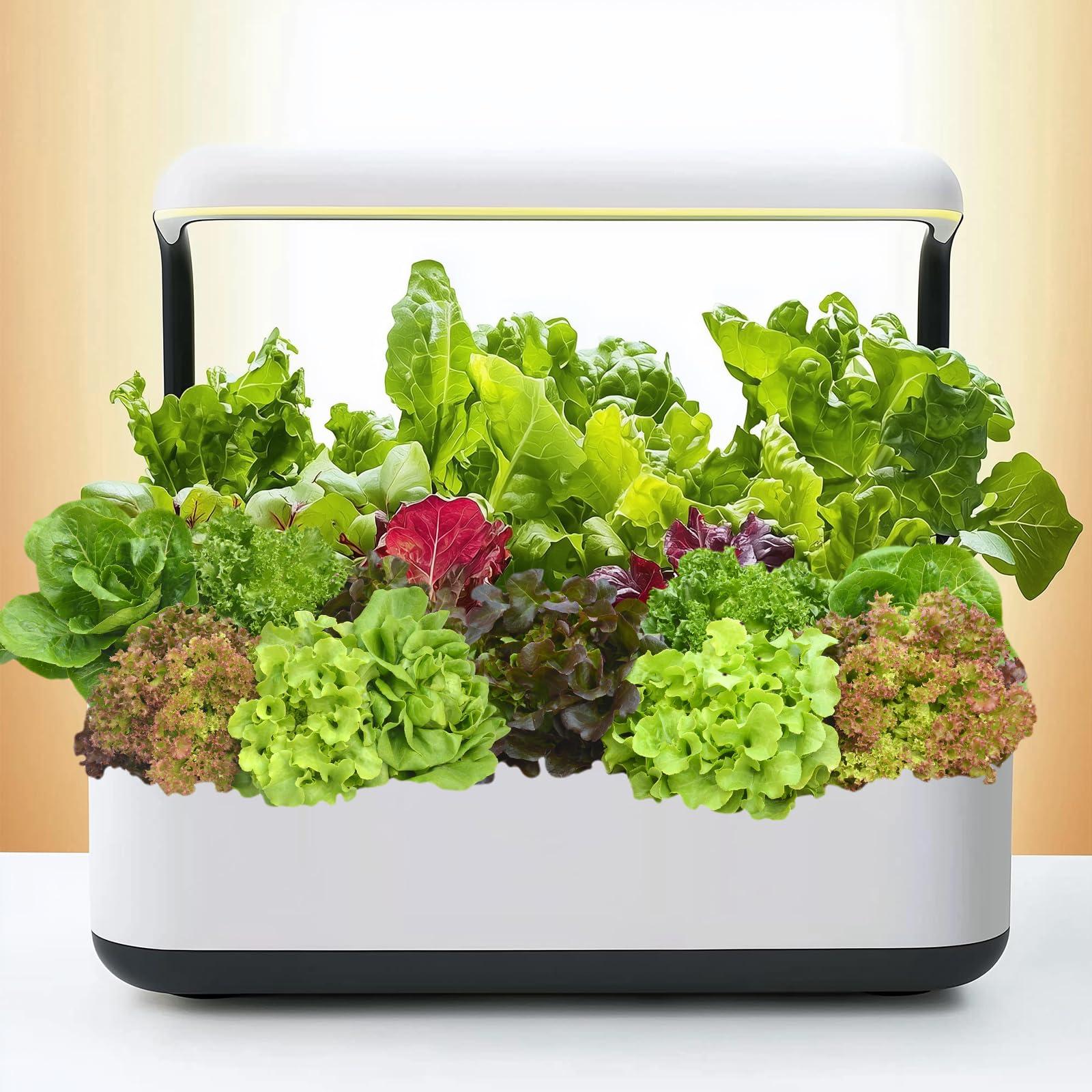20,000+ Lettuce Seeds, Heirloom Vegetable Seed for Planting Indoor Outdoor, 10 Varieties Fresh Lettuce Salad Seeds Garden Hydroponics Kit - Romaine, Iceberg, Boston, Bibb and More, Non-GMO - Image 8