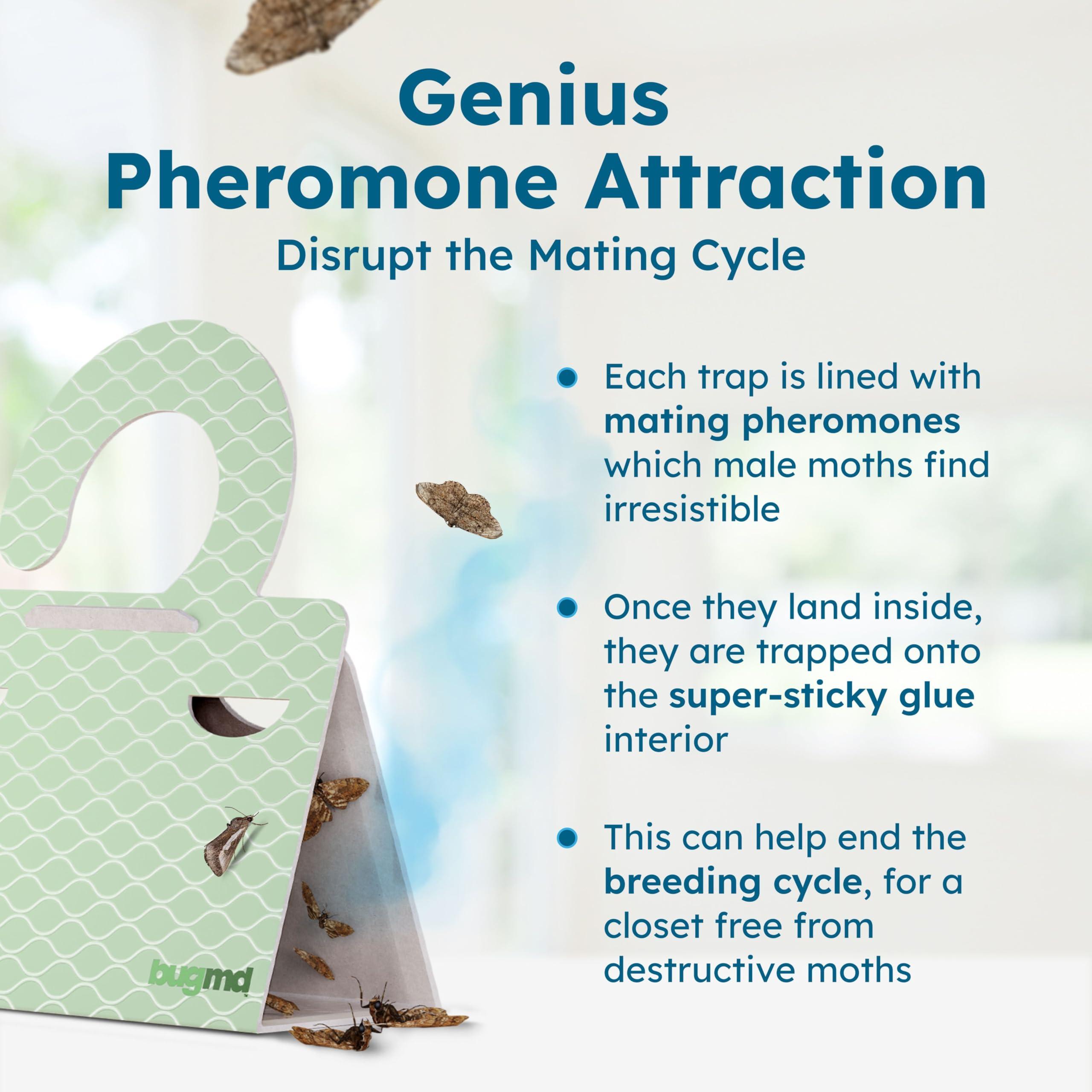 Clothes & Pantry Moth Traps (6 Count) – Sticky Glue Pheromone-Based Repellent for Closets, Cabinets & Wardrobes – Non-Toxic - Image 7