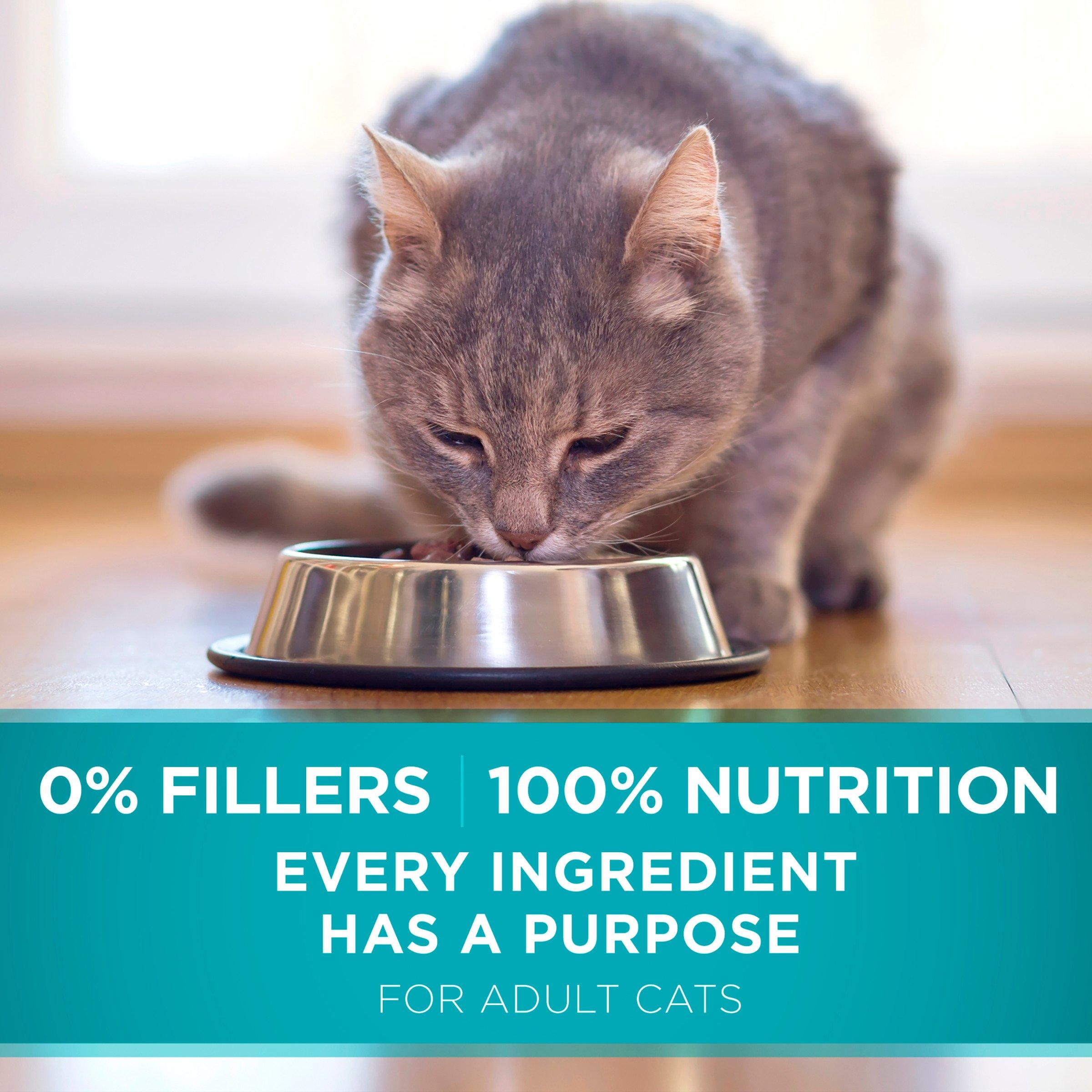 Purina ONE Natural Dry Cat Food, Tender Selects Blend With Real Chicken - 7 lb. Bag - Image 11