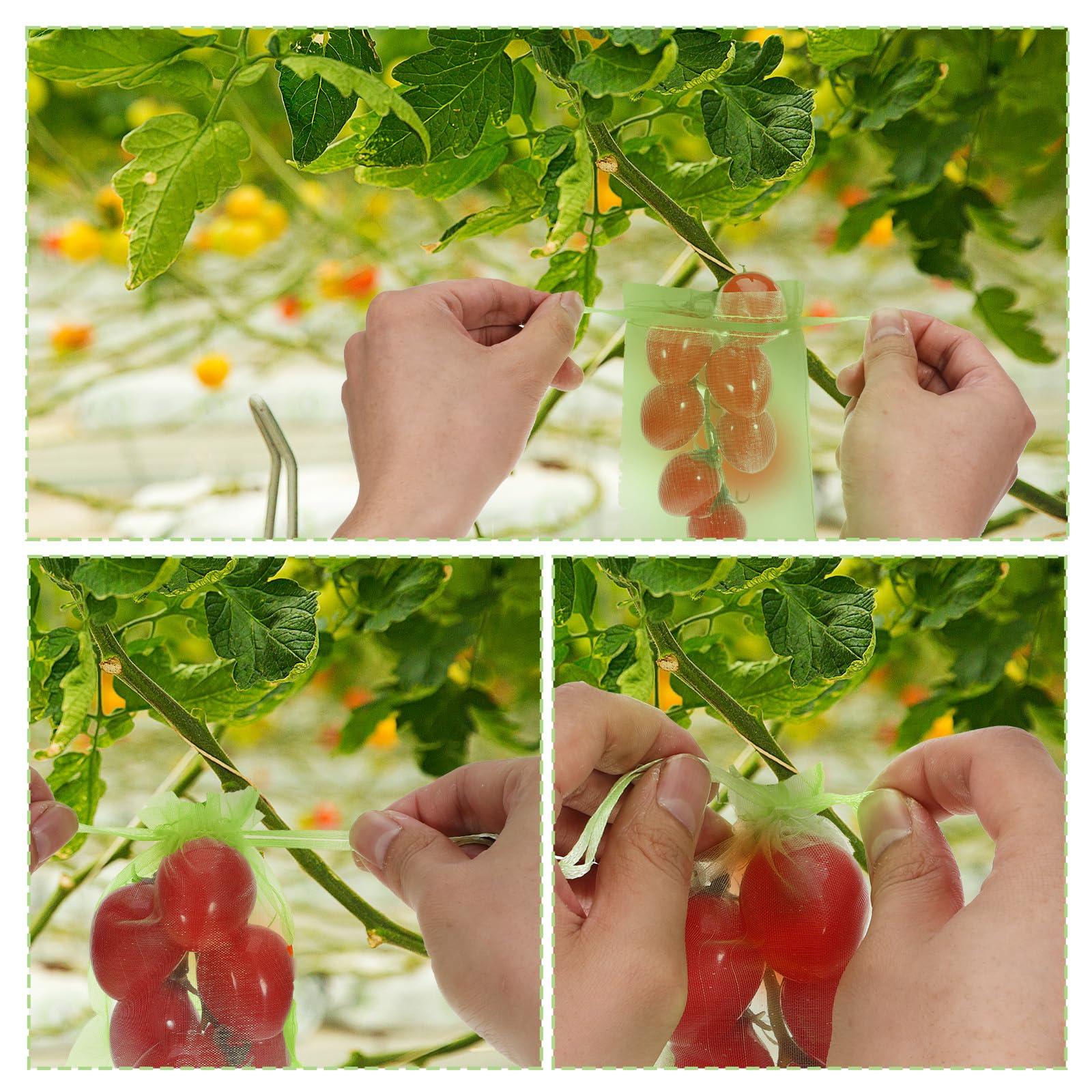 100 Pcs Fruit Protection Bags 4x6 Inch Green Strawberry Netting Cover Drawstring Mesh Bags Fruits Protectors Pest Barrier for Tomato Mango Blueberry Fruits Trees Veggies Garden Small Fruit - Image 5