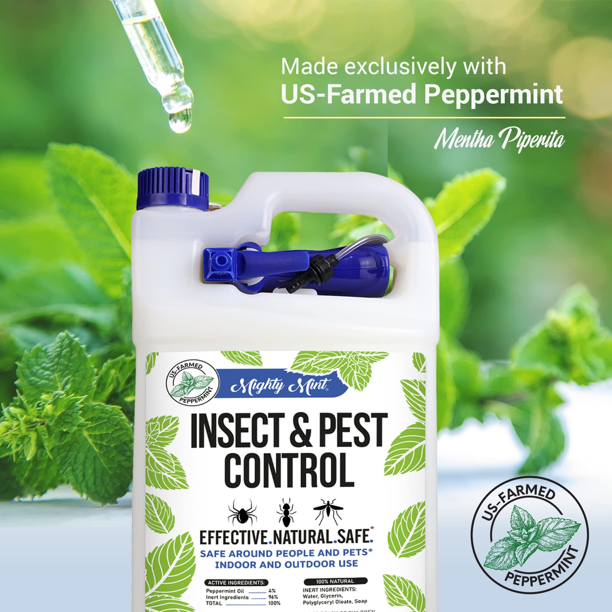 Mighty Mint Gallon (128 oz) Insect and Pest Control Peppermint Oil - Natural Spray for Spiders, Ants, and More - Image 5