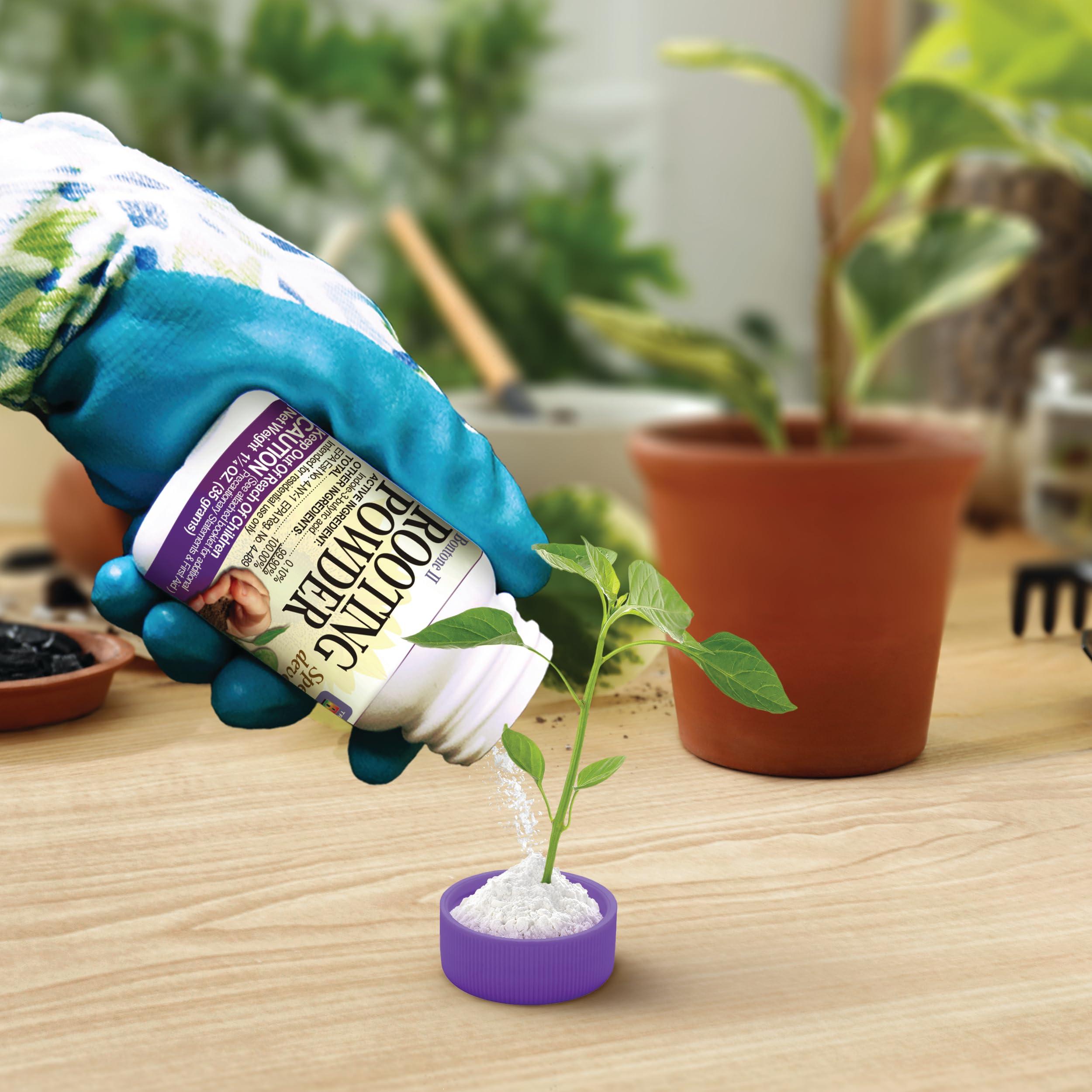 Bonide Bontone II Rooting Powder, 1.25 oz Ready-to-Use Dust for Houseplants and Transplants Speeds Root Development - Image 6