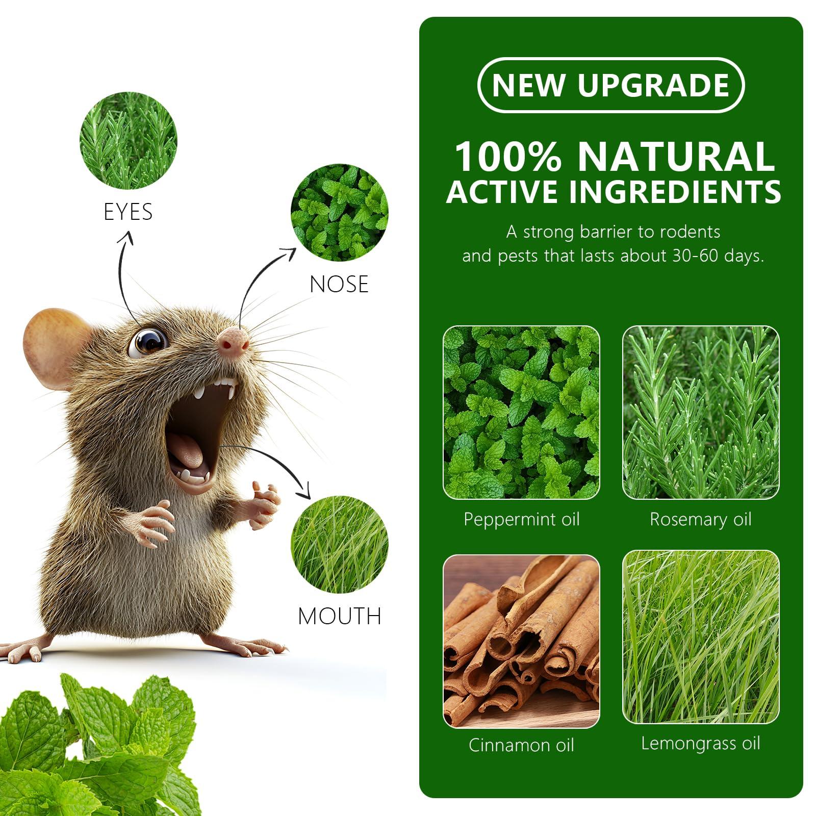 Mouse Rodent Repellent, 48 Pack Peppermint Lemon Oil Mice Repellent for Squirrel Rats Spider Pests, Natural Deterrent for Kitchen, Warehouse, Car, Cat, Indoor, Outdoor, Safe for Pets & Family - Image 3