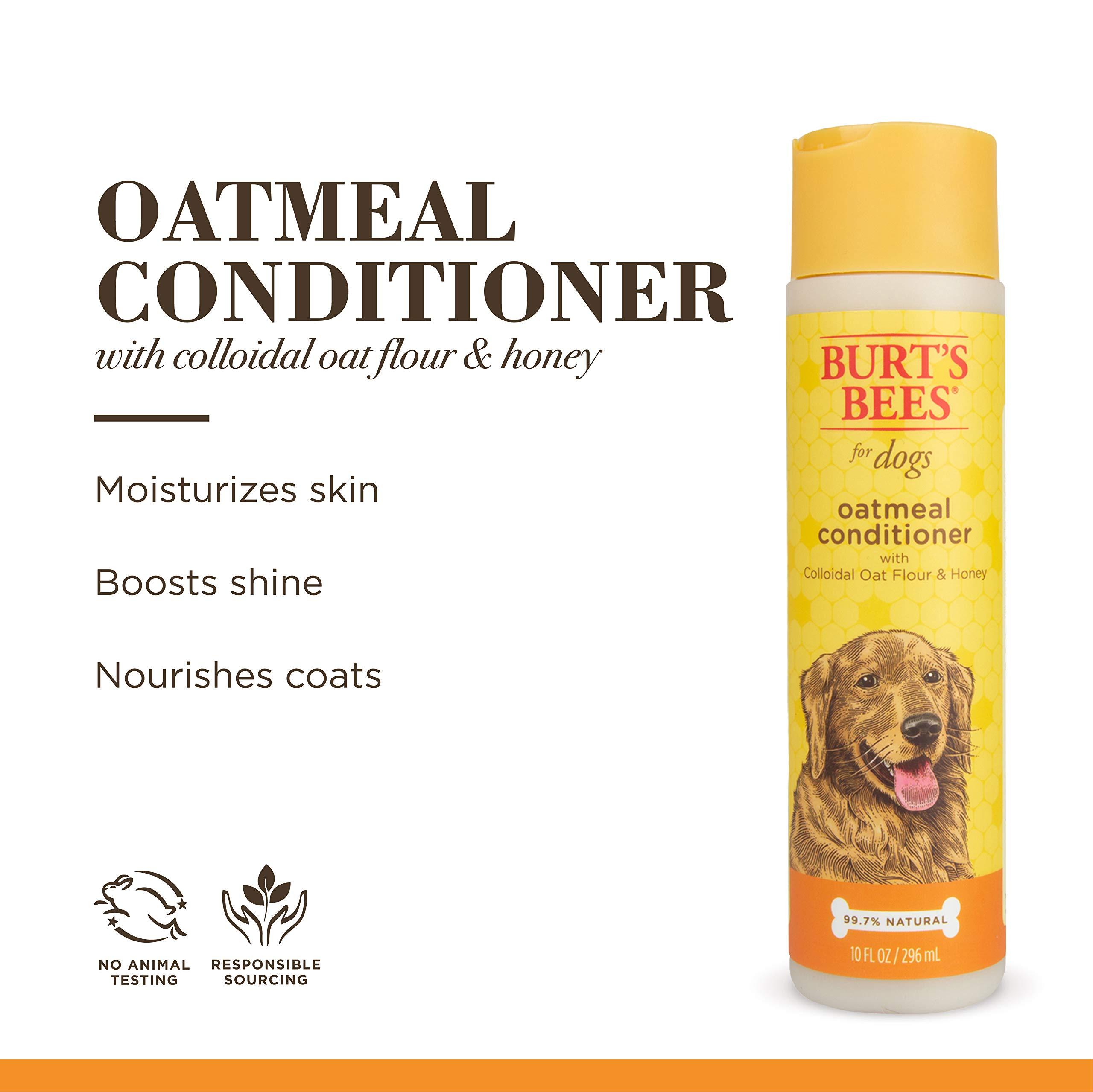 Burt's Bees for Pets Oatmeal Dog Conditioner with Colloidal Oat Flour and Honey, 95% Natural Origin Formulas, Gentle Dog Conditioner, Best Dog Conditioner for Itchy Dogs, 10 oz - Image 2