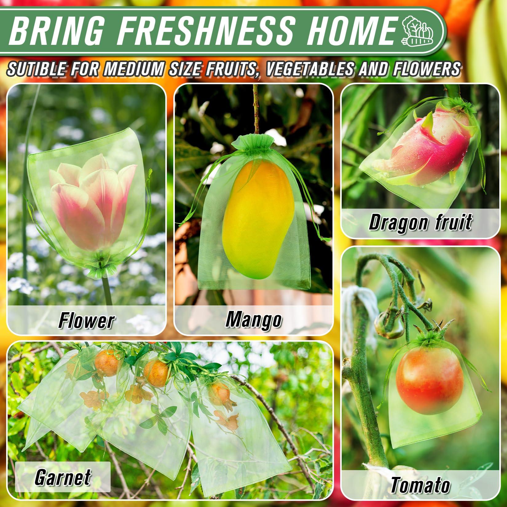 ANZNKU 100pcs 6x9 Inch Fruit Protection Bags, Fruit Bags for Fruit Trees, Green Mesh Cover Bag Garden Netting Pest Barrier for Tomato Mango Vegetables - Image 4