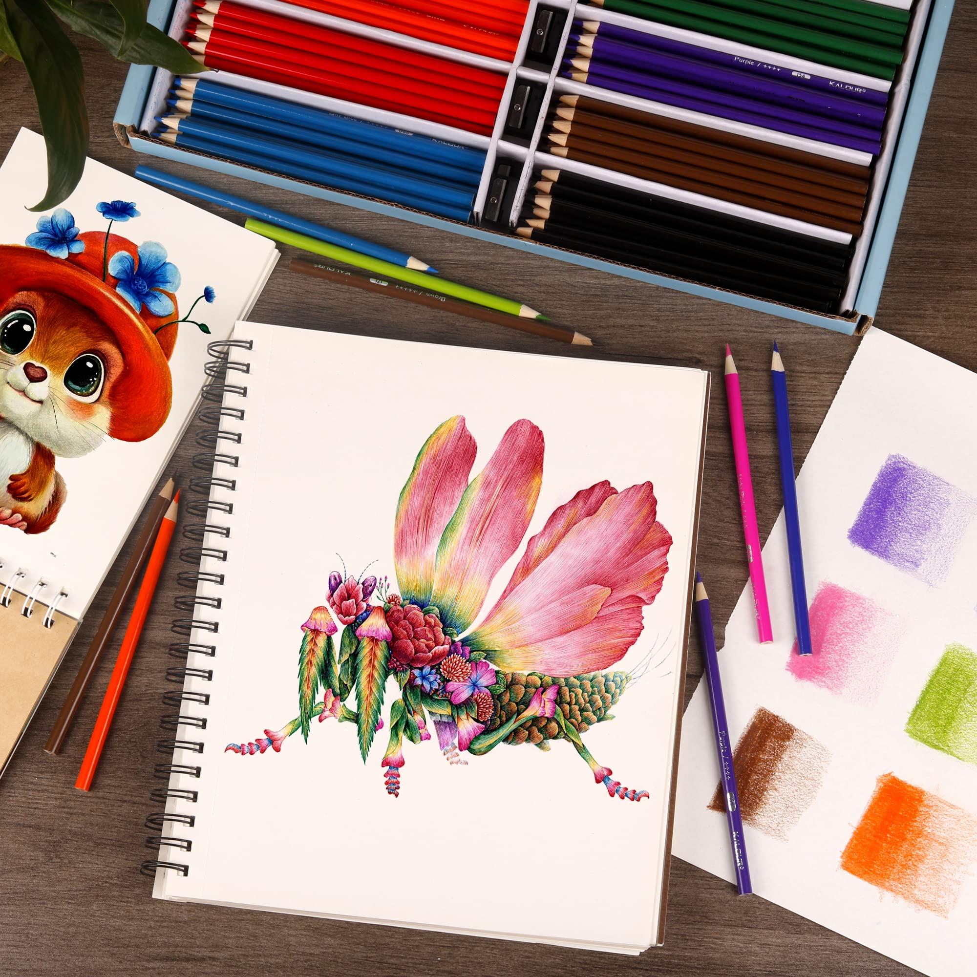KALOUR Premium Colored Pencils Bulk,12 Assorted Vibrant Colors,240 Count Total,School Classroom Supplies For Kids Teachers,Pre-sharpened Artists Colored Pencils for Adult Coloring Book - Image 2