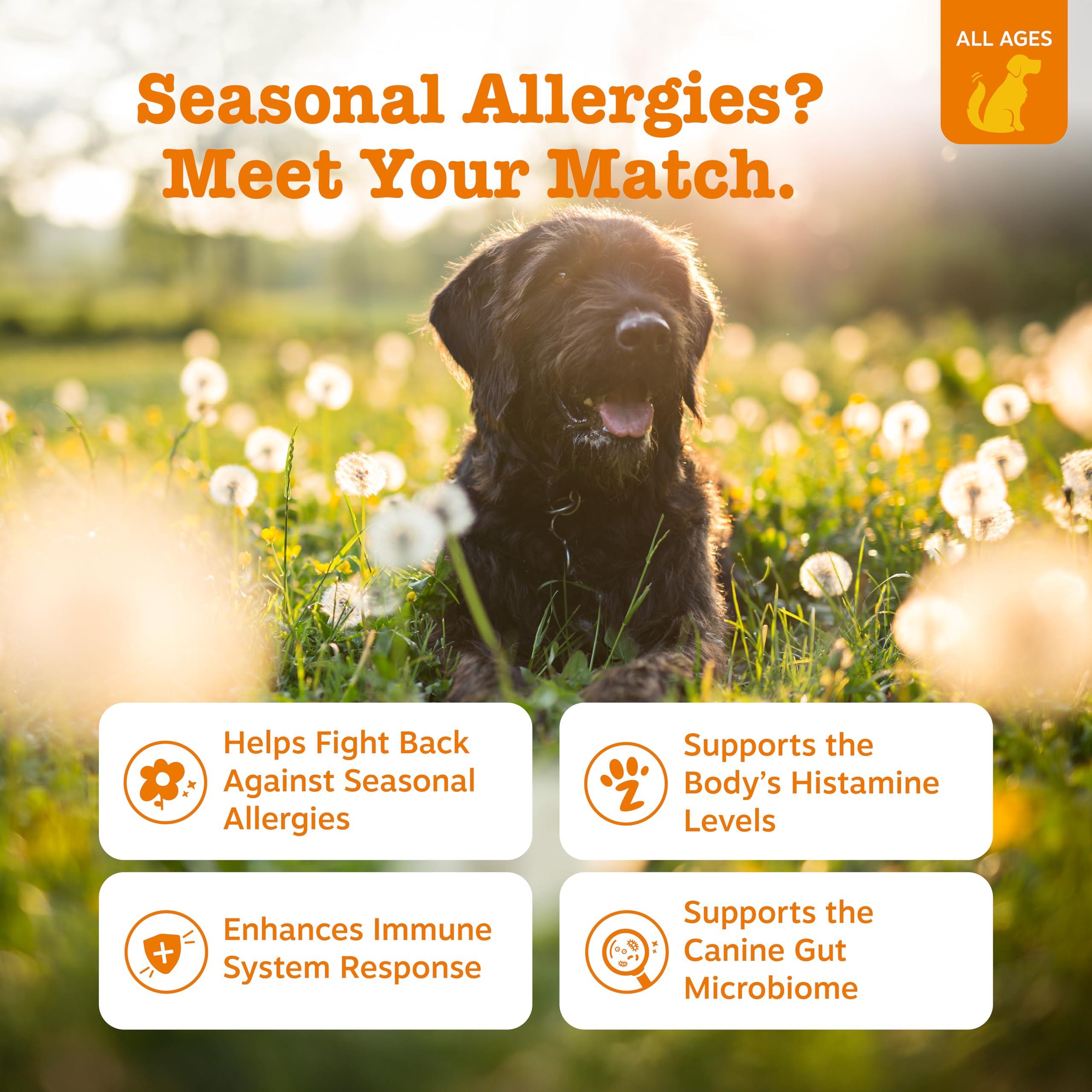Zesty Paws Dog Allergy Relief- Dog Itching Skin Relief- Dog Probiotics for Itchy Skin and Itchy Ears- Dog Allergy Paw Relief- Dog Allergy Chews- Dog Itch Relief - Dog Skin Allergy Relief - PB - 90ct - Image 2