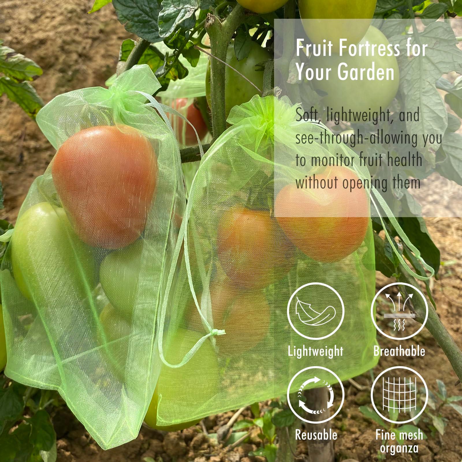Fruit Protection Bags, Fetanten 50 PCS 6 x 8 Inch Mesh Drawstring Bag for Fruit Trees, Small Green Garden Fruit Plant Netting Cover Bag Protect Blueberry Tomato Apple Mango from Bird Insect Pest - Image 2