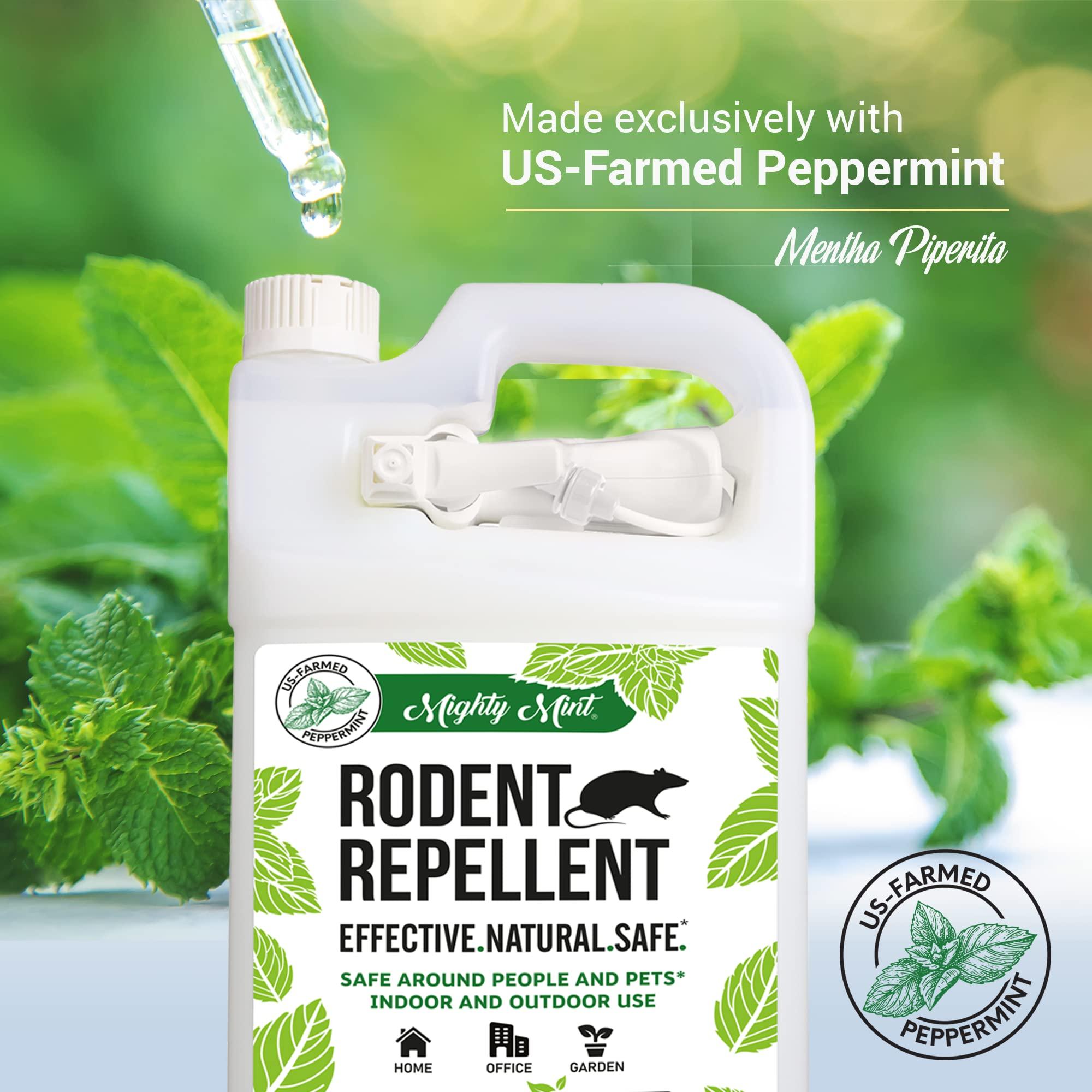 Mighty Mint Peppermint Oil Rodent Repellent Spray with Microfiber Cloth – Natural Indoor & Outdoor Control for Mice and Rats – Plant-Based, Extra-Strong Formula - 1 Gallon (128 oz) - Image 5